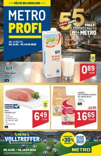 METRO Flugblatt - Profi