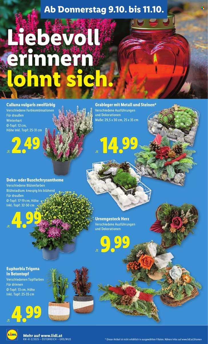 LIDL Flugblatt - Ab Donnerstag, 9.10.2025 (2025-10-09 - 2025-10-15)