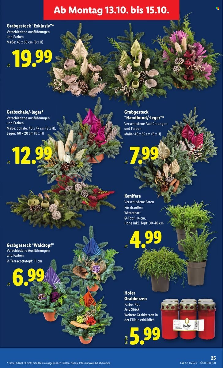 LIDL Flugblatt - Ab Donnerstag, 9.10.2025 (2025-10-09 - 2025-10-15)