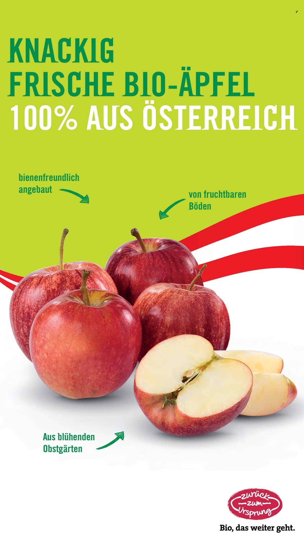 HOFER Flugblatt - Ab Freitag, 26.9.2025 (2025-09-26 - 2025-10-02)