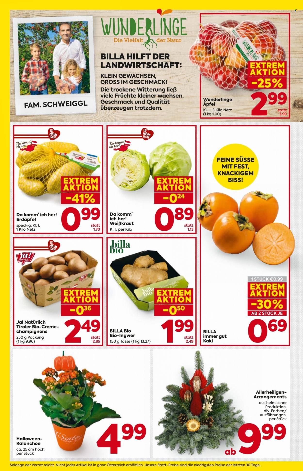 BILLA Flugblatt - Ab Donnerstag, 22.10.2026