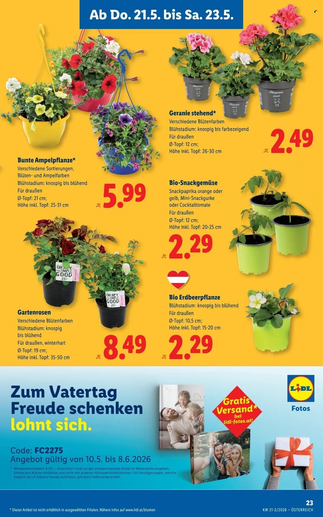 LIDL Flugblatt - Ab Donnerstag, 21.5.2026