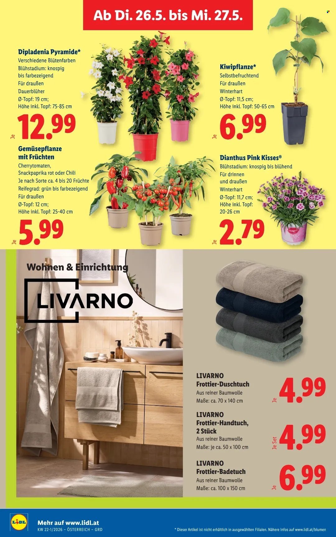 LIDL Flugblatt - Ab Donnerstag, 21.5.2026