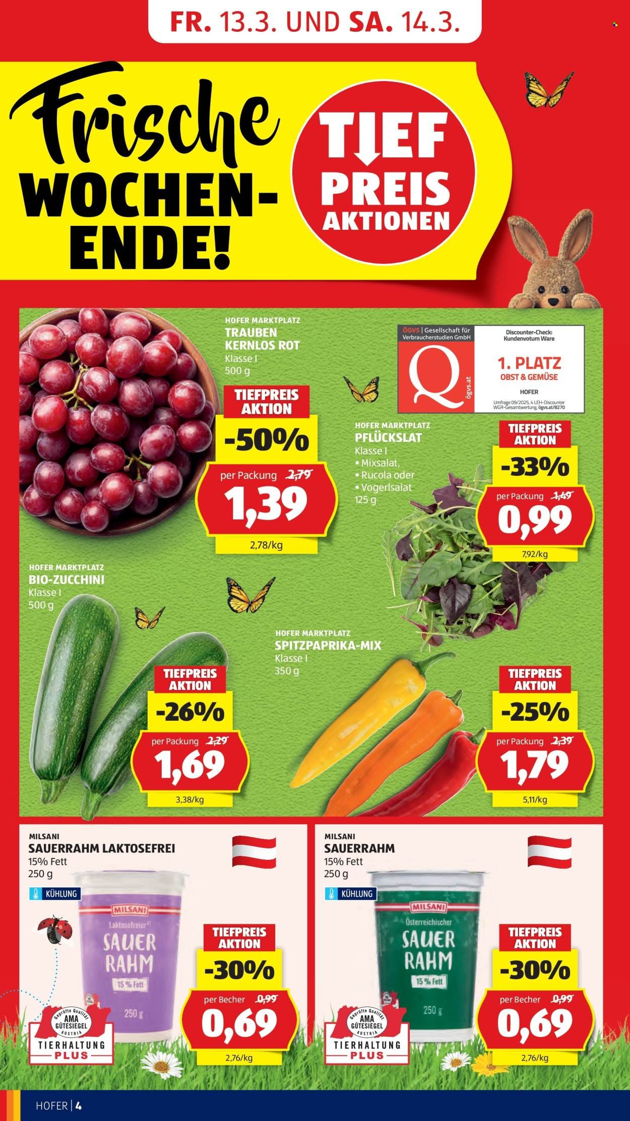 HOFER Flugblatt - Ab Mittwoch, 11.3.2026