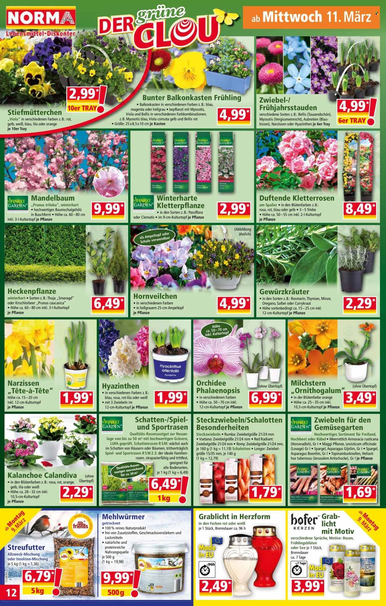 NORMA Flugblatt - Ab Montag, 9.3.2026