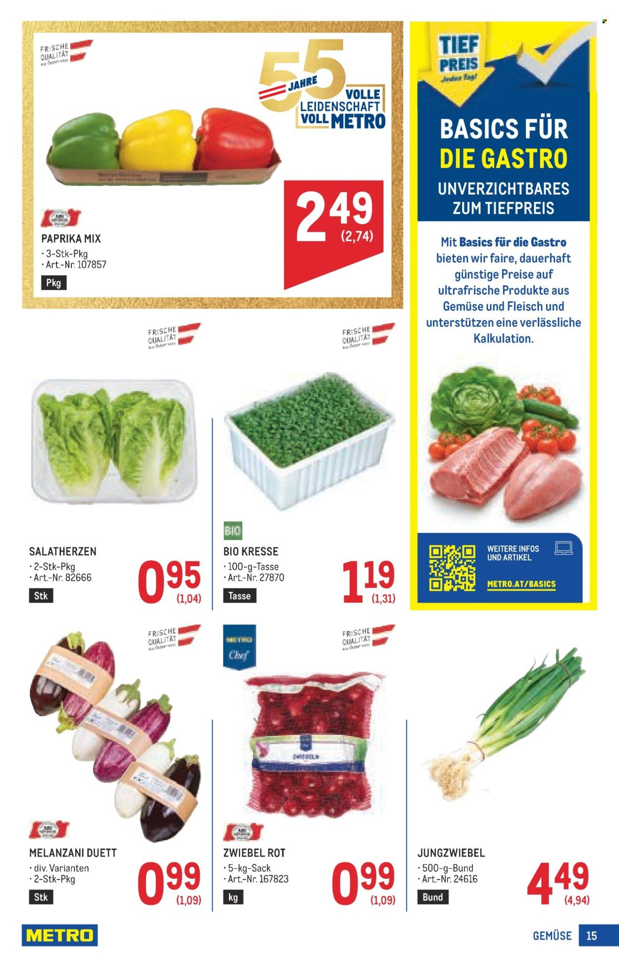 METRO Flugblatt - Profi