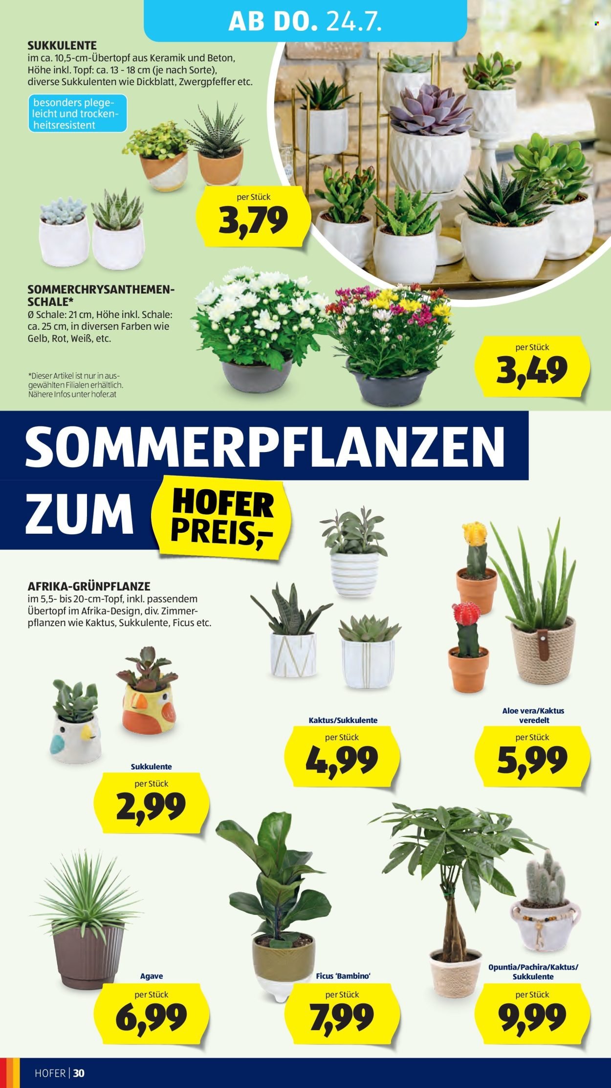 HOFER Flugblatt - Ab Freitag, 18.7.2025 (2025-07-18 - 2025-07-24)