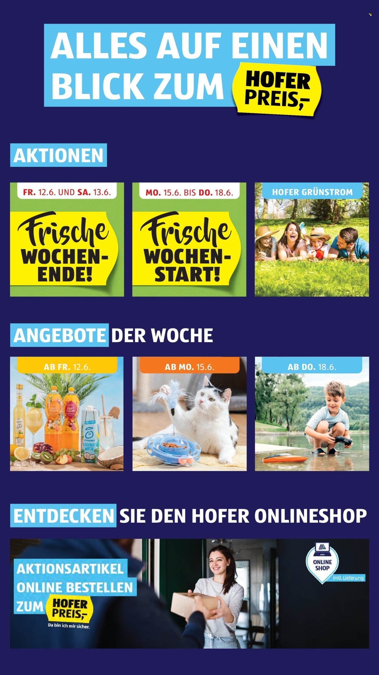 HOFER Flugblatt - Ab Freitag, 12.6.2026