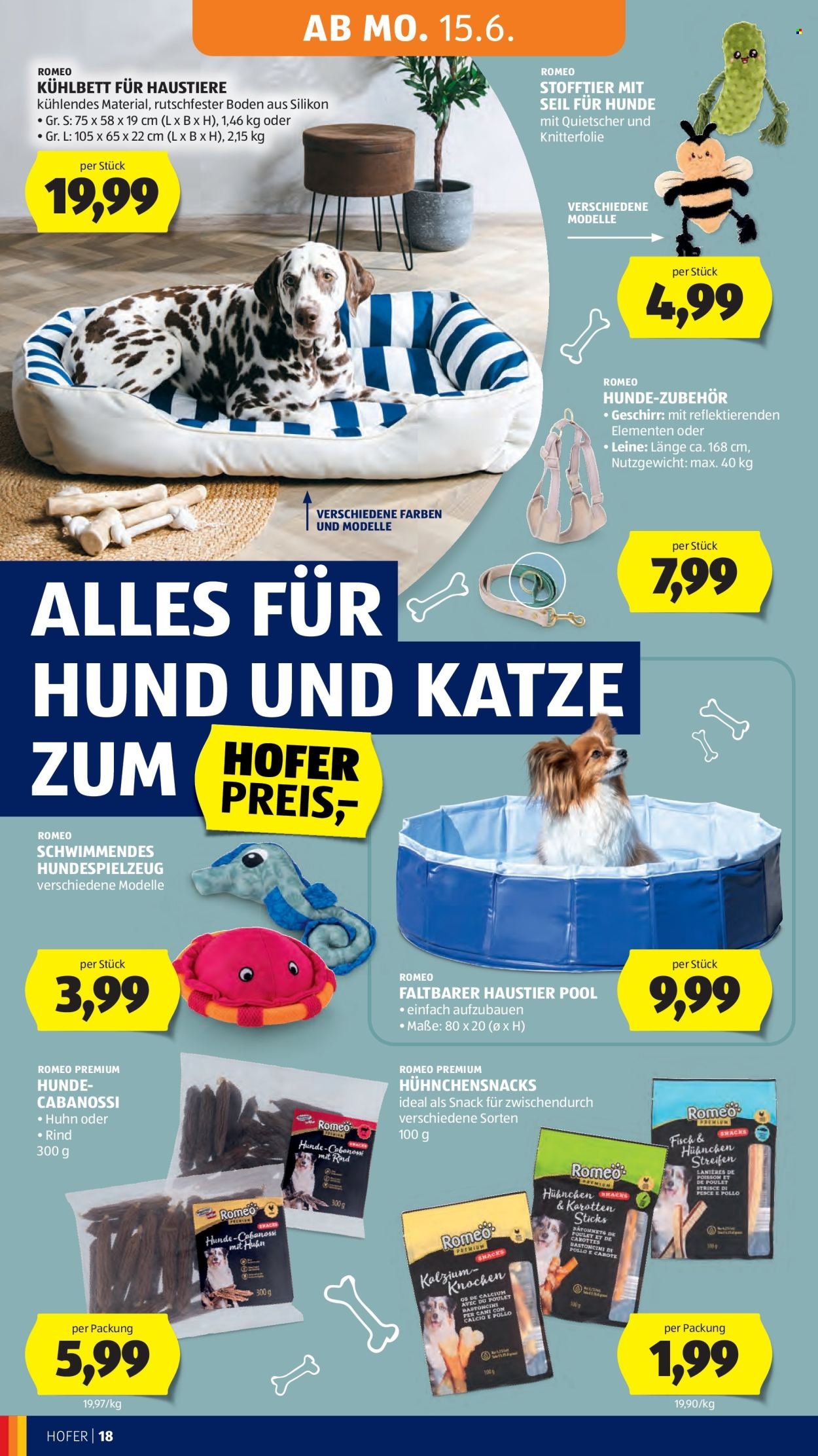 HOFER Flugblatt - Ab Freitag, 12.6.2026
