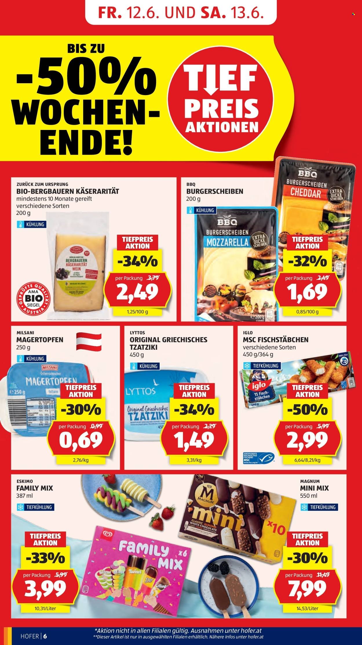 HOFER Flugblatt - Ab Freitag, 12.6.2026