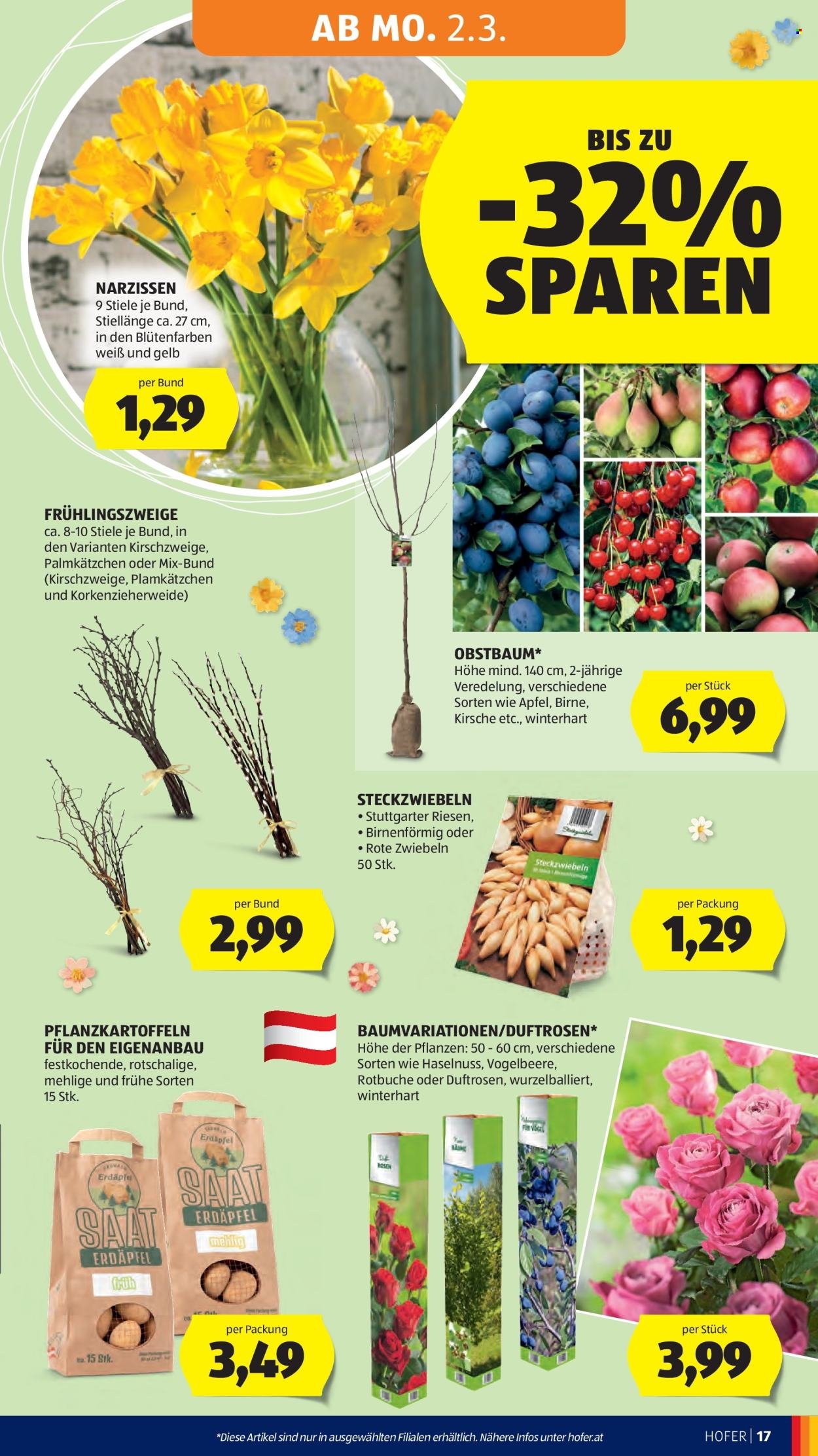 HOFER Flugblatt - Ab Mittwoch, 25.2.2026