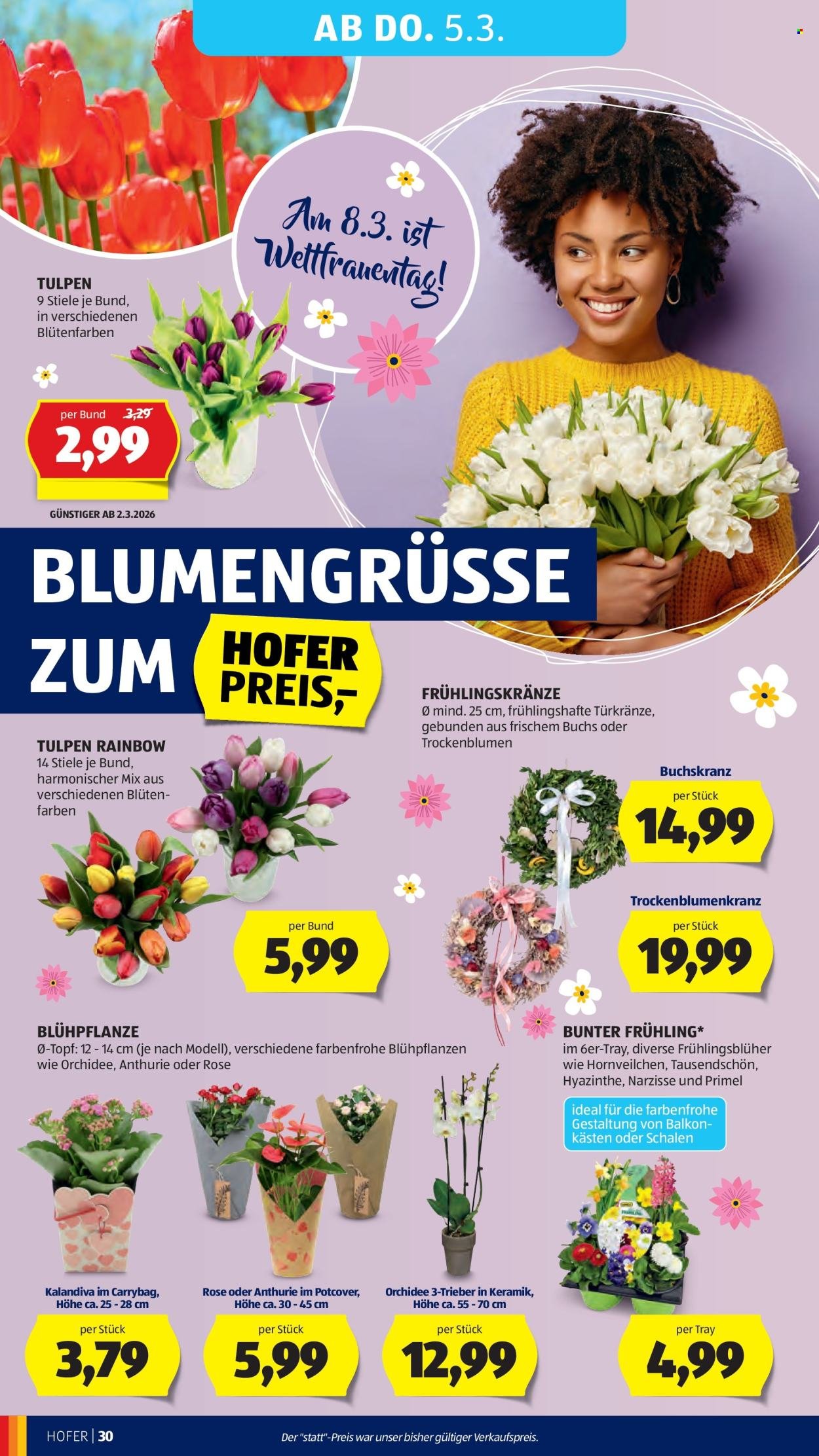 HOFER Flugblatt - Ab Mittwoch, 25.2.2026