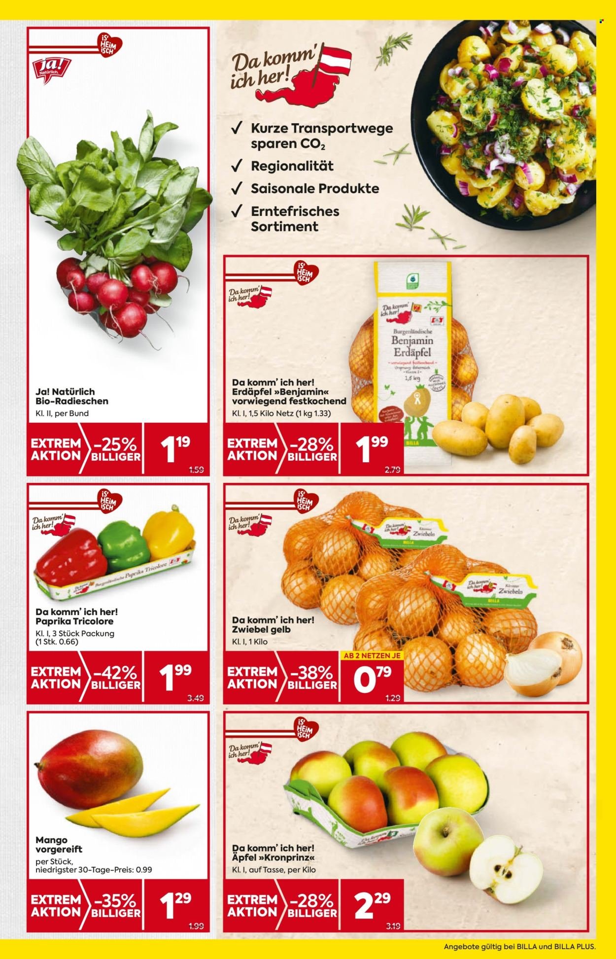 BILLA Flugblatt - Ab Donnerstag, 30.10.2025 (2025-10-30 - 2025-11-05) | 13