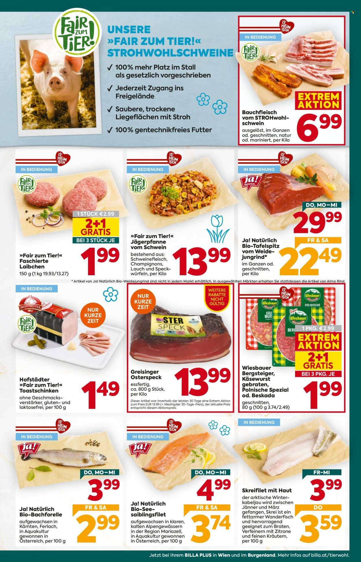 BILLA PLUS Flugblatt - Ab Donnerstag, 26.2.2026