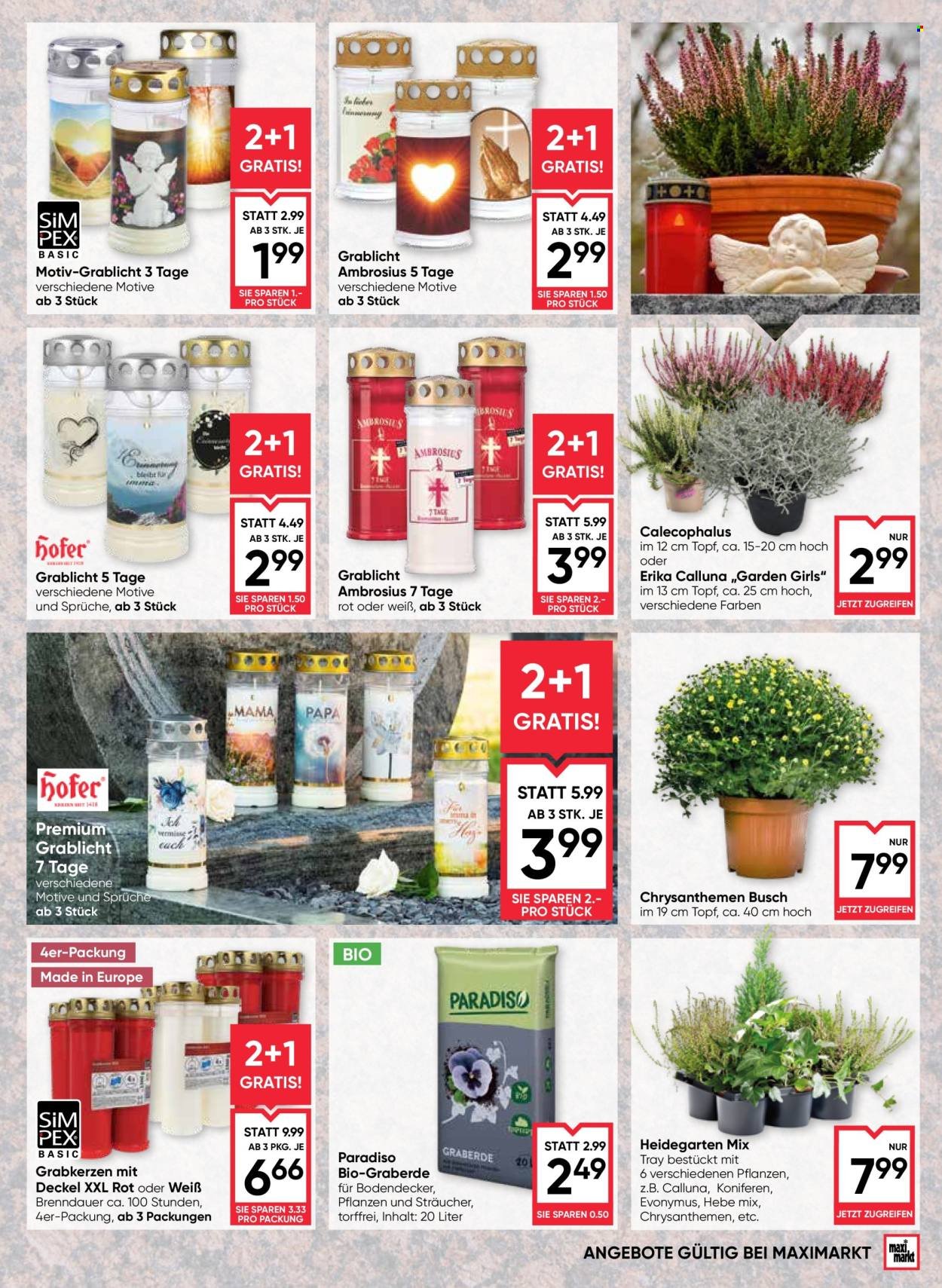 MAXIMARKT Flugblatt - Ab Donnerstag, 10.9.2026