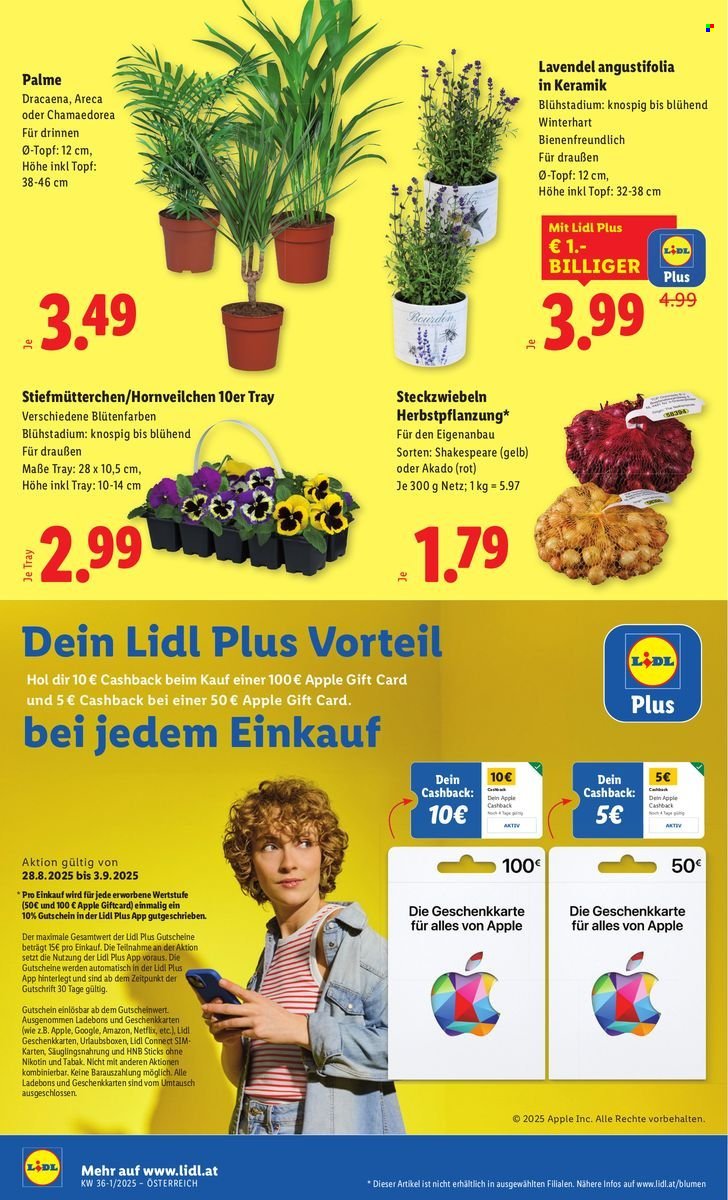 LIDL Flugblatt - Ab Donnerstag, 28.8.2025 (2025-08-28 - 2025-09-03)