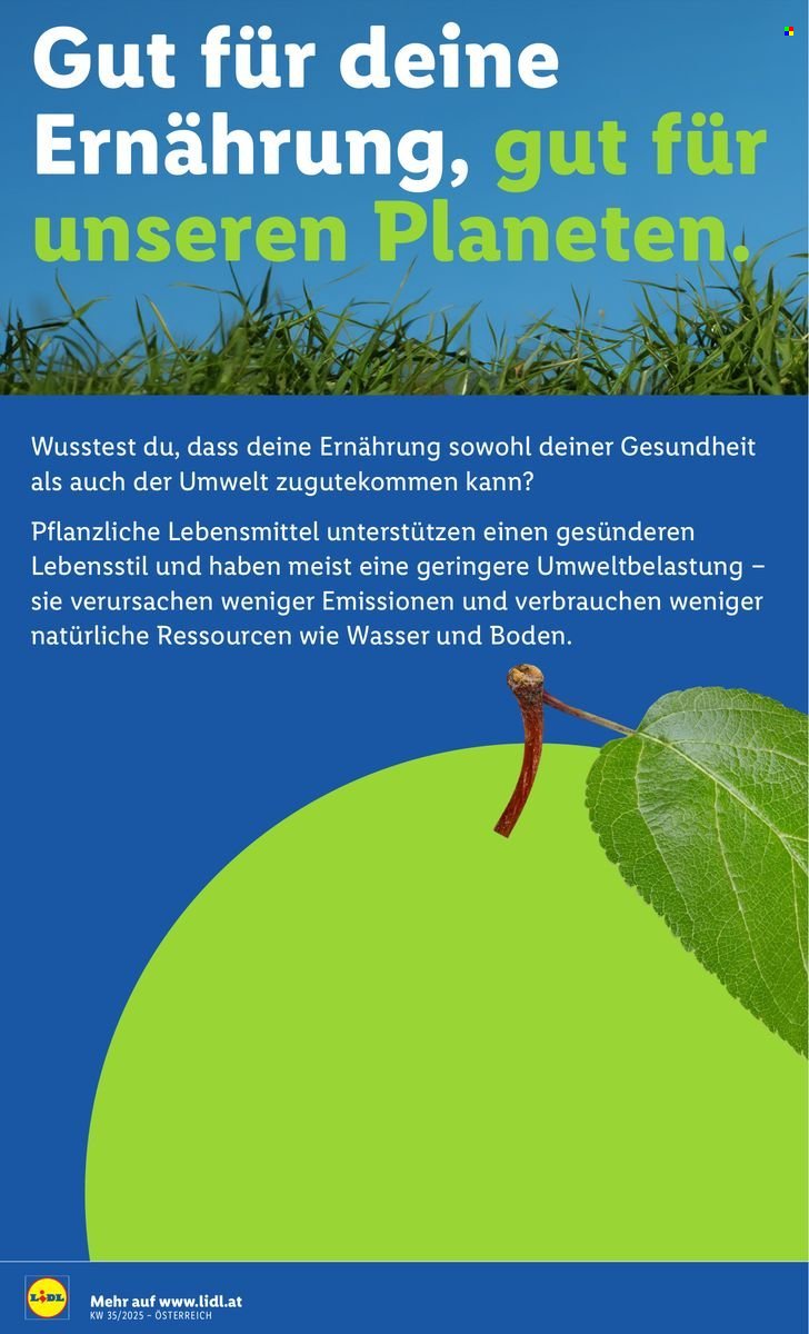 LIDL Flugblatt - Ab Donnerstag, 28.8.2025 (2025-08-28 - 2025-09-03)