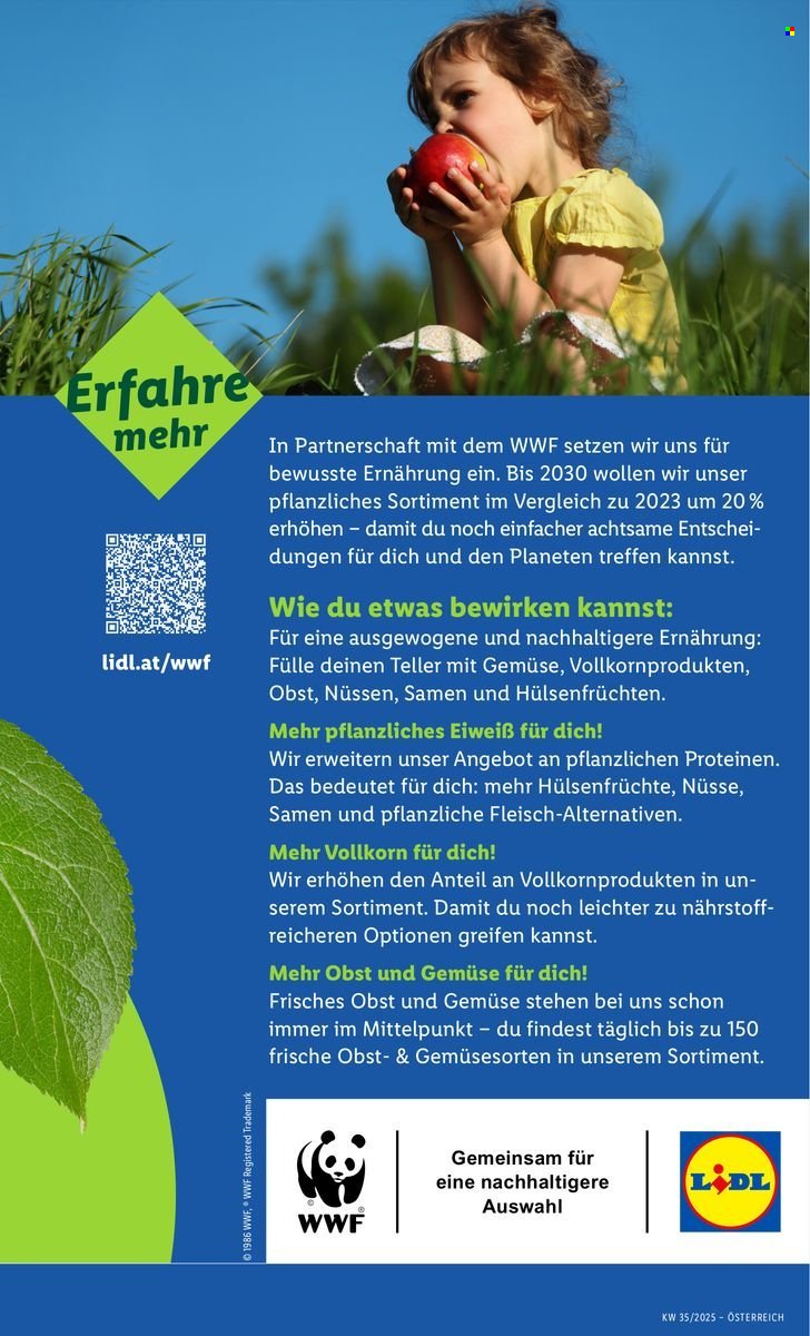 LIDL Flugblatt - Ab Donnerstag, 28.8.2025 (2025-08-28 - 2025-09-03)