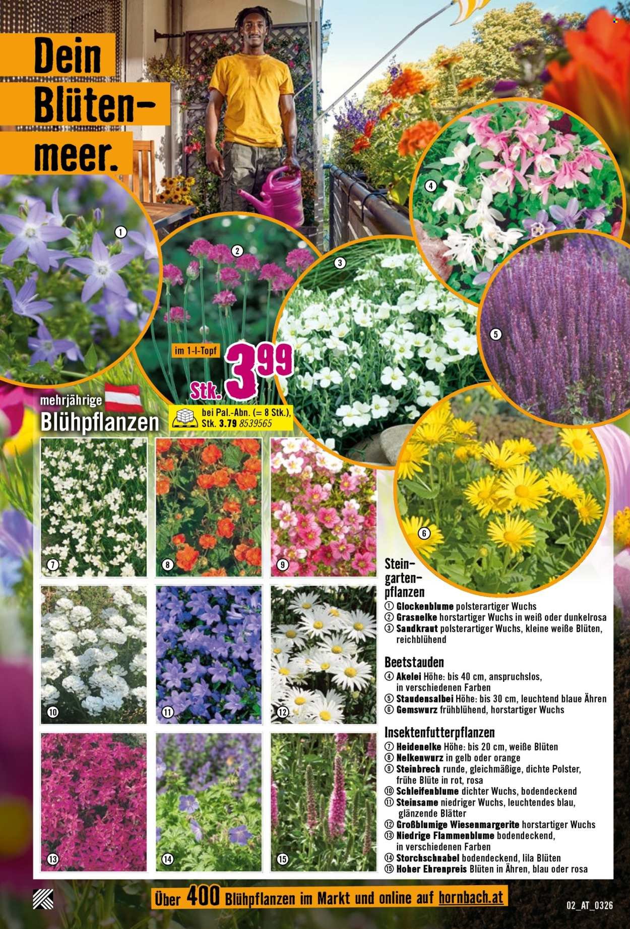 HORNBACH Flugblatt - Ab Mittwoch, 1.4.2026