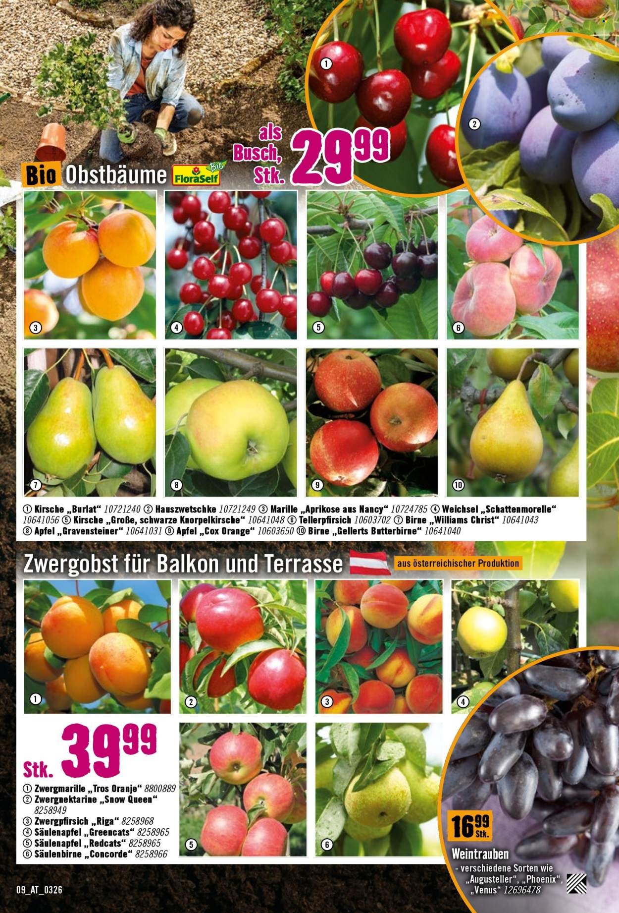 HORNBACH Flugblatt - Ab Mittwoch, 1.4.2026