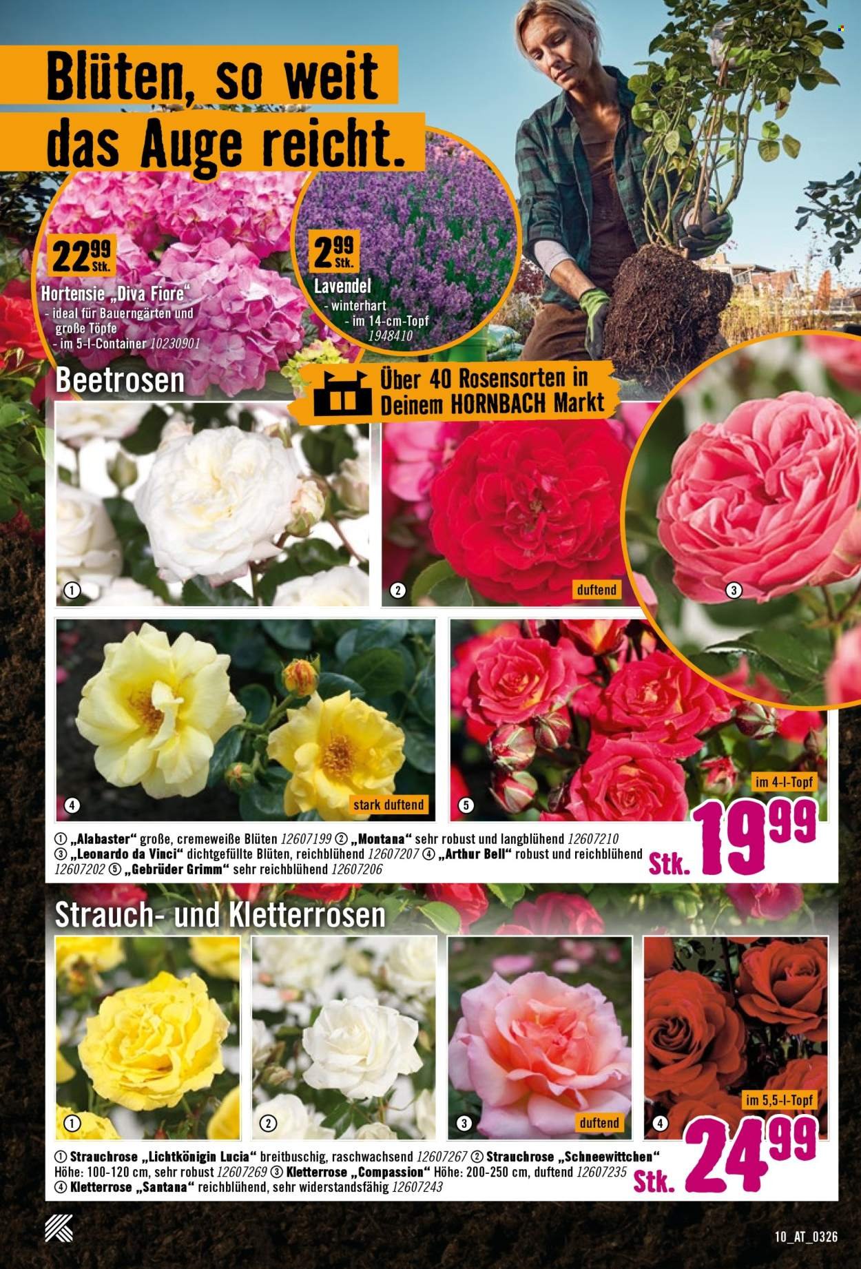 HORNBACH Flugblatt - Ab Mittwoch, 1.4.2026