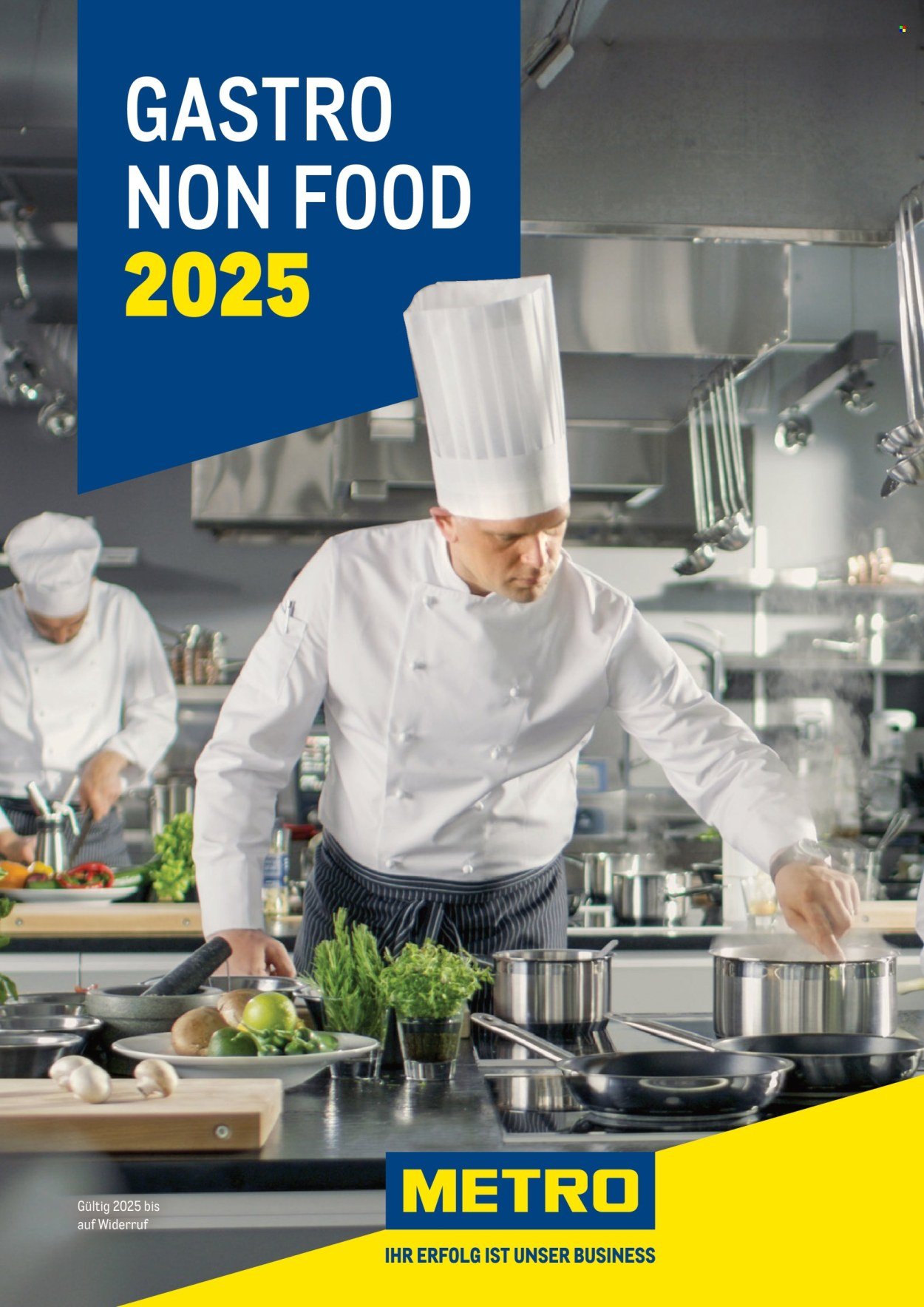 METRO Flugblatt - Gastro Non Food 2025 (2024-12-02)