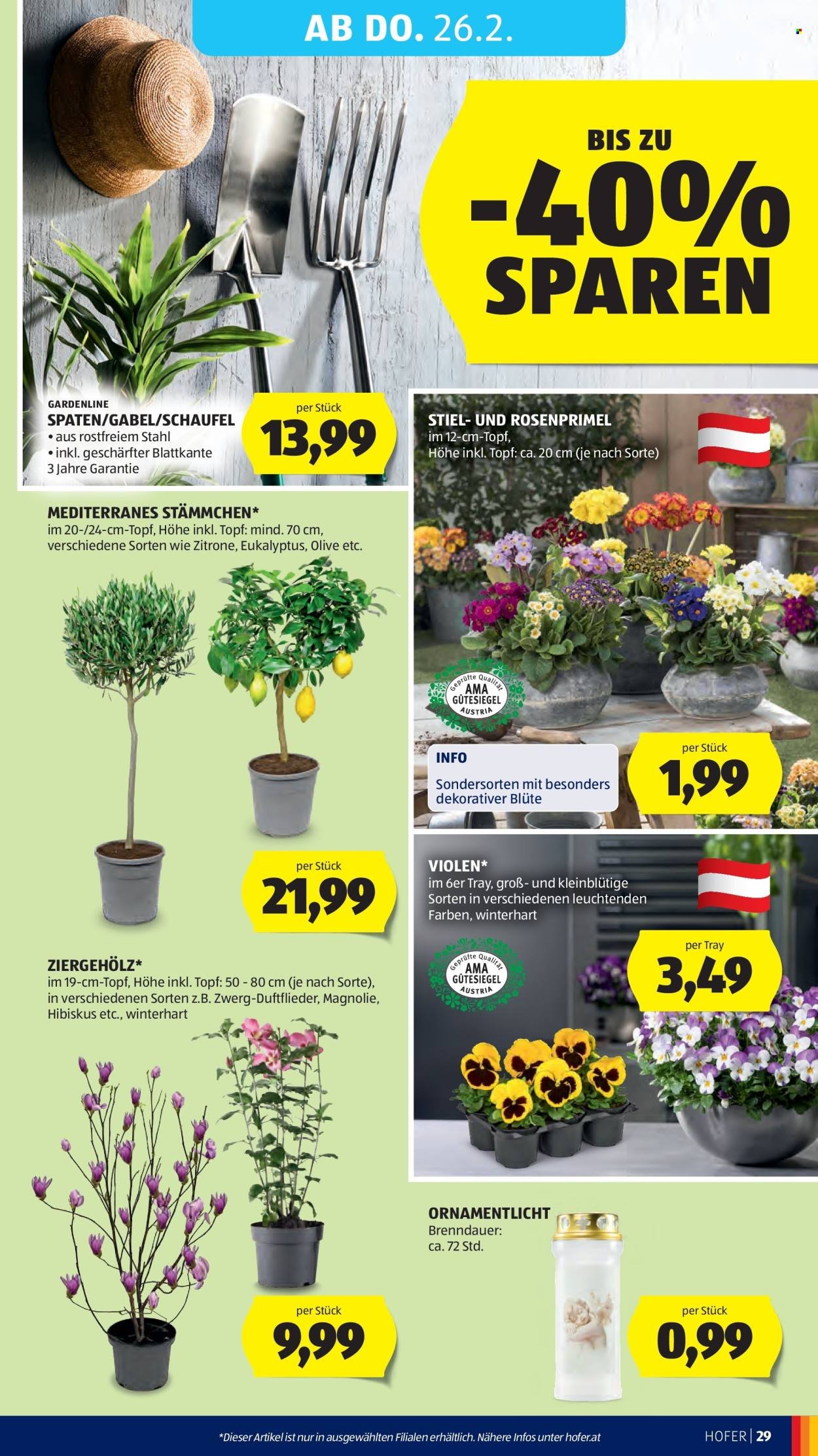 HOFER Flugblatt - Ab Freitag, 20.2.2026
