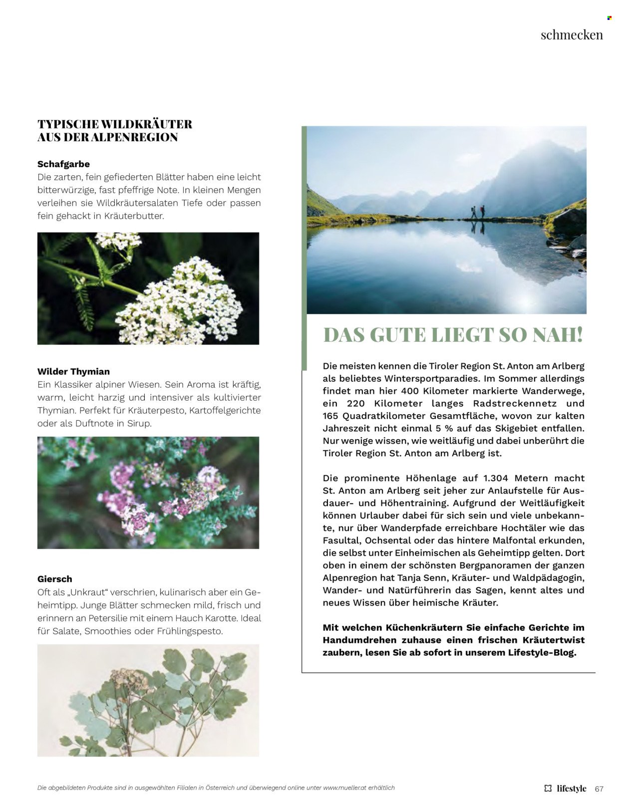 MÜLLER Flugblatt - Lifestyle
