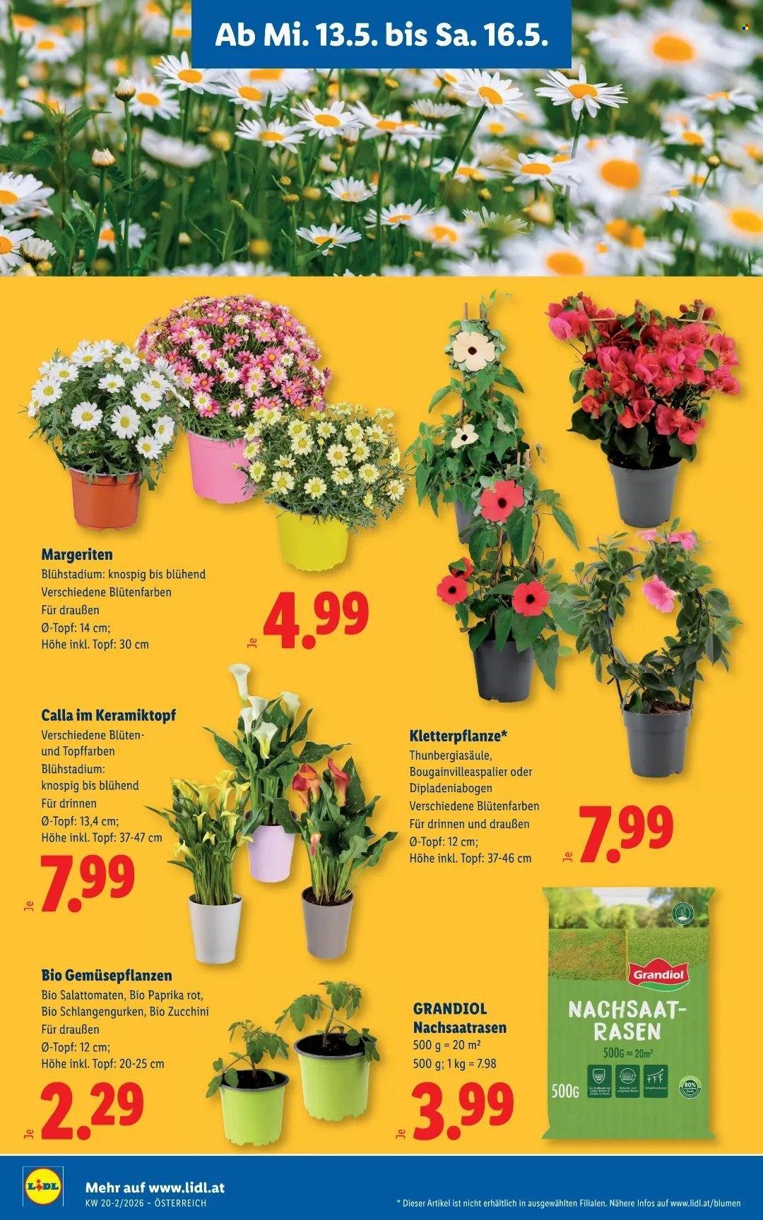 LIDL Flugblatt - Ab Mittwoch, 13.5.2026