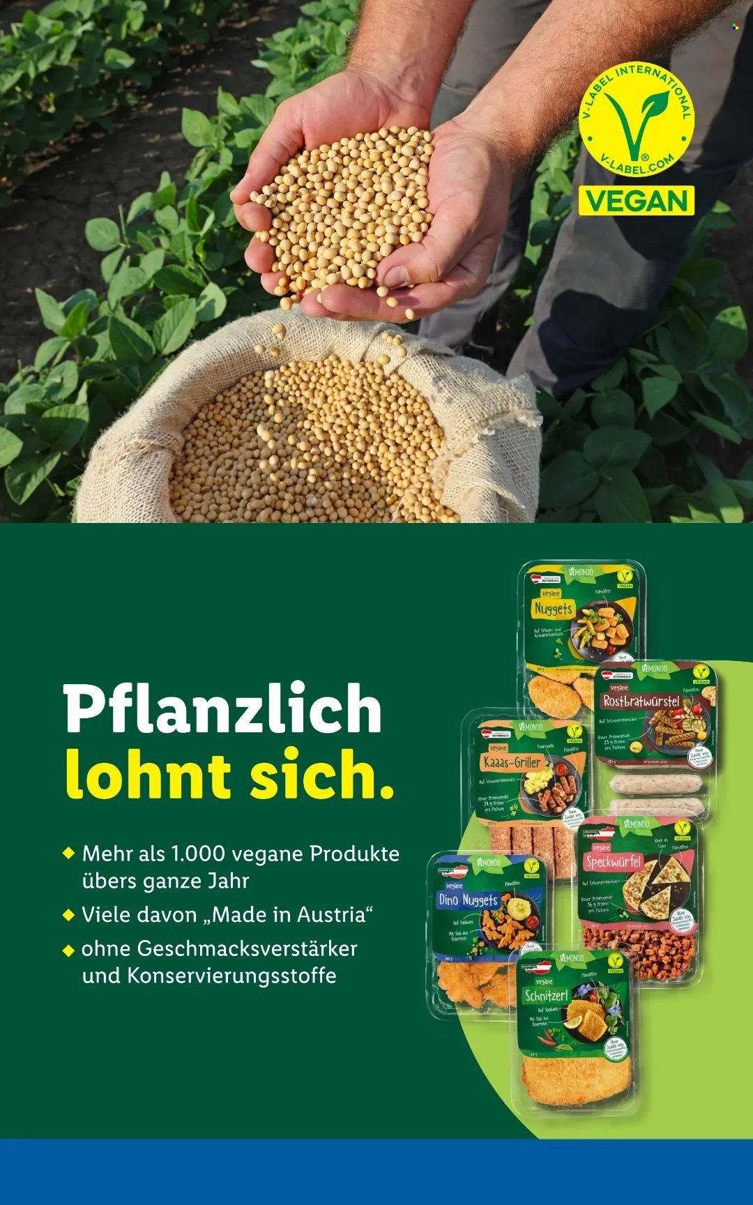 LIDL Flugblatt - Ab Mittwoch, 13.5.2026