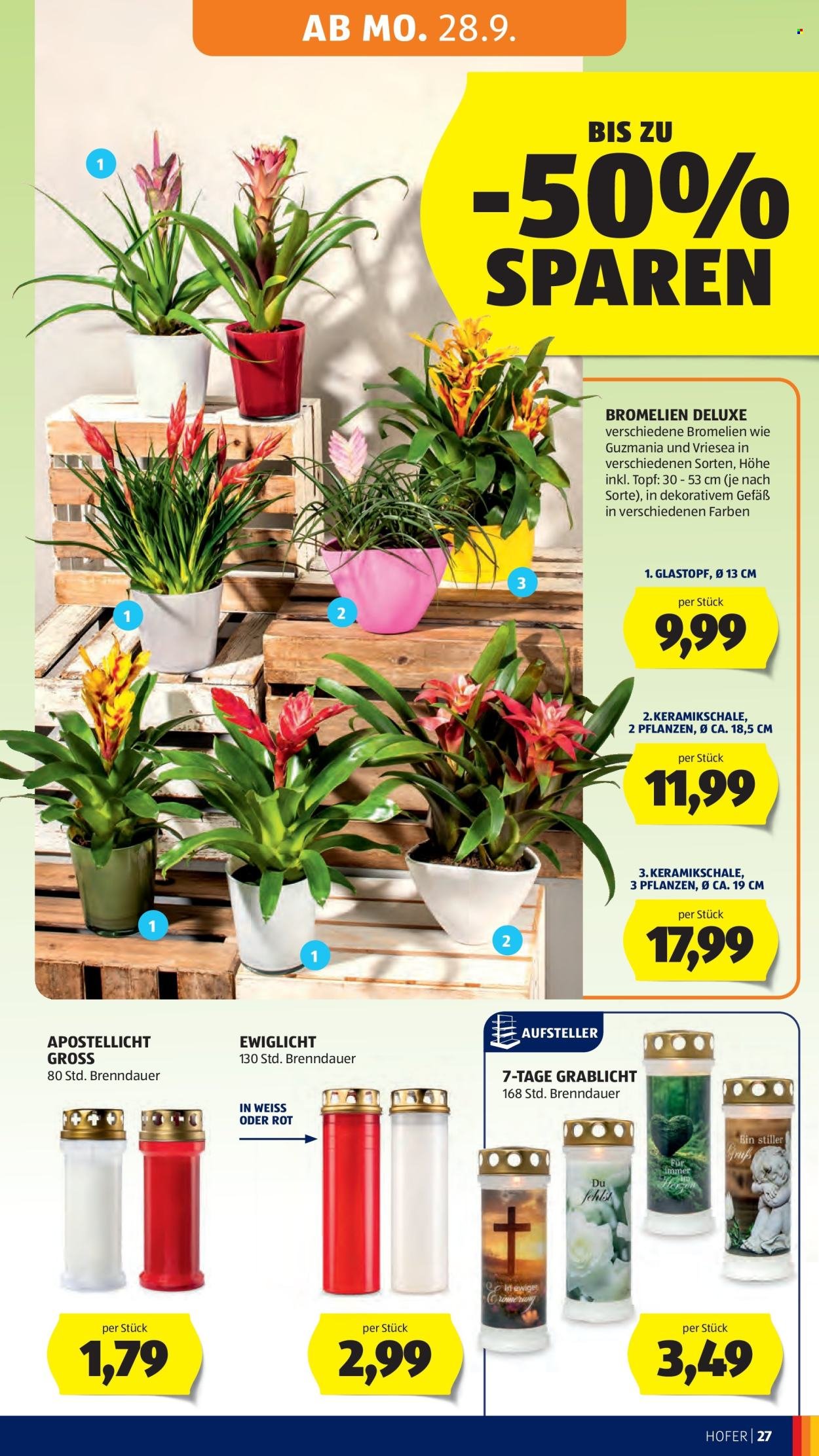 HOFER Flugblatt - Ab Freitag, 25.9.2026