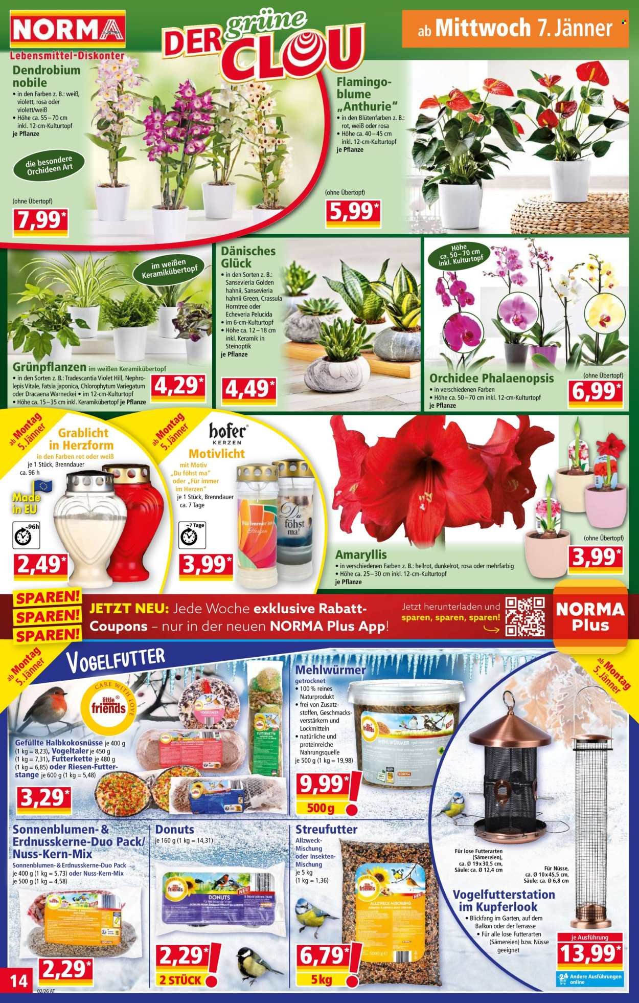 NORMA Flugblatt - Ab Montag, 5.1.2026