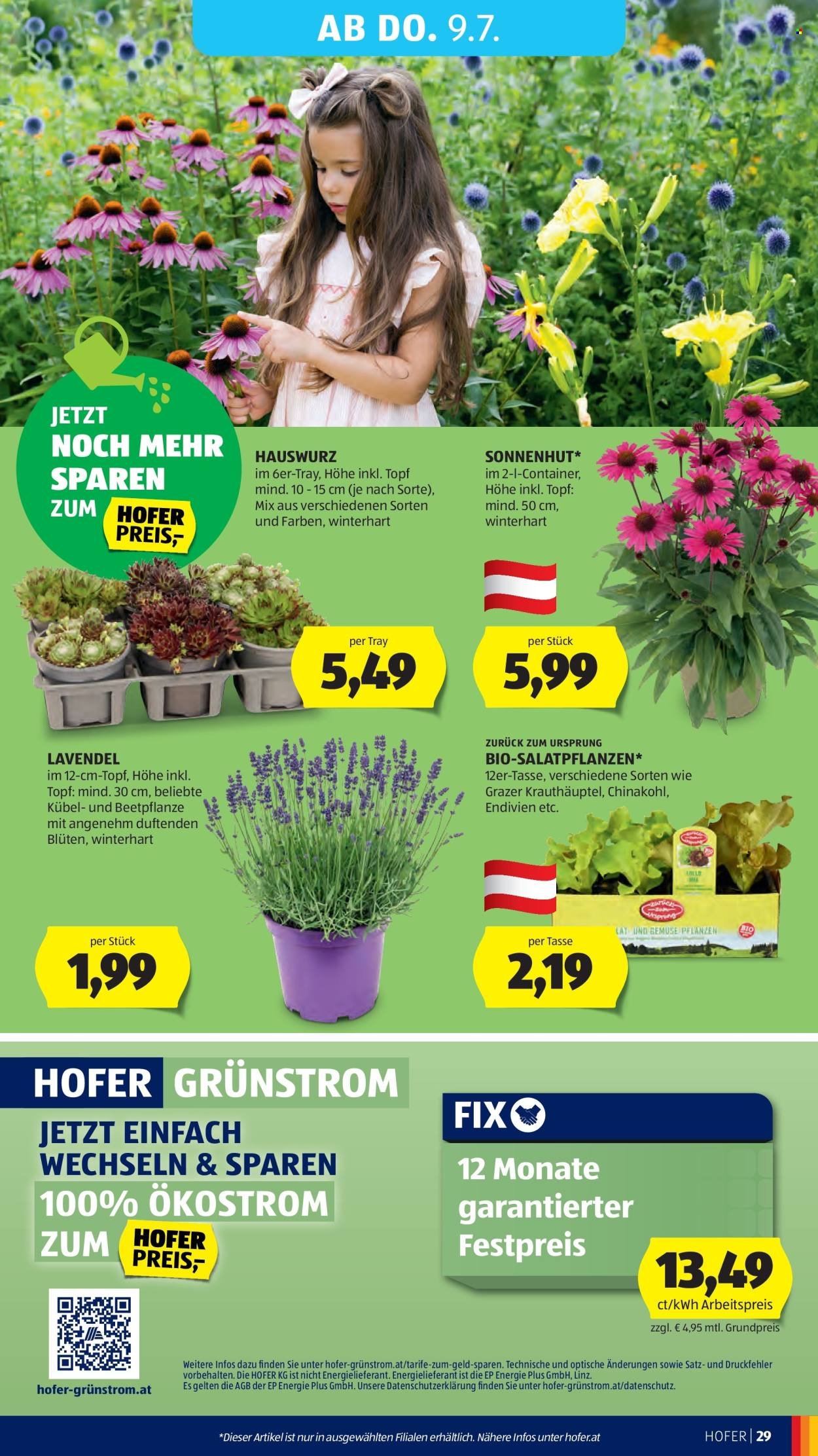HOFER Flugblatt - Ab Freitag, 3.7.2026