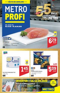METRO Flugblatt - Profi