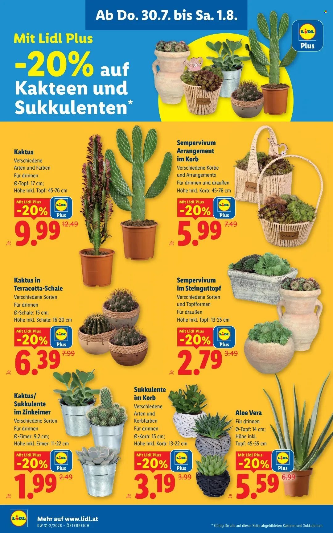 LIDL Flugblatt - Ab Donnerstag, 30.7.2026