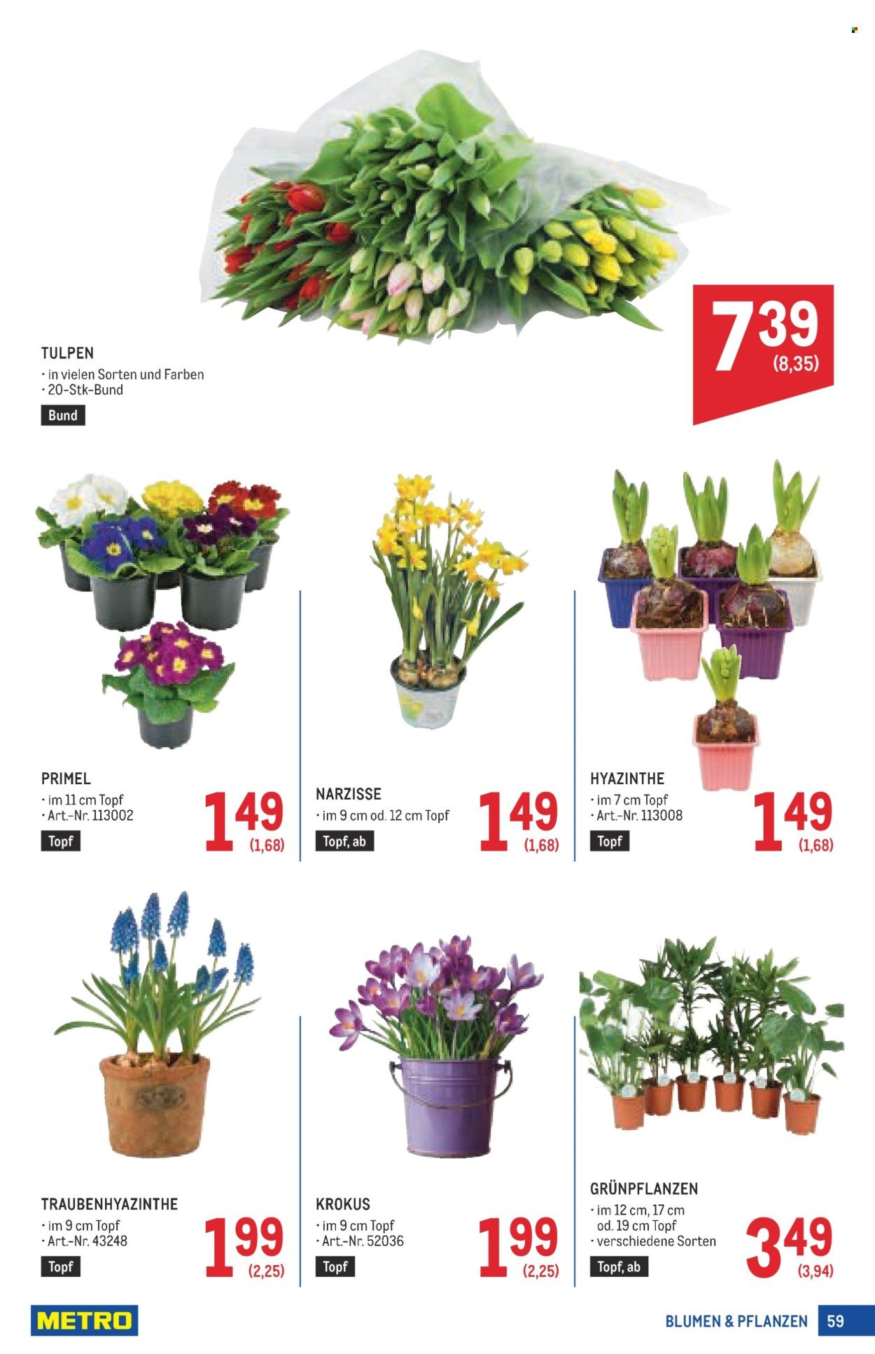 METRO Flugblatt - Profi