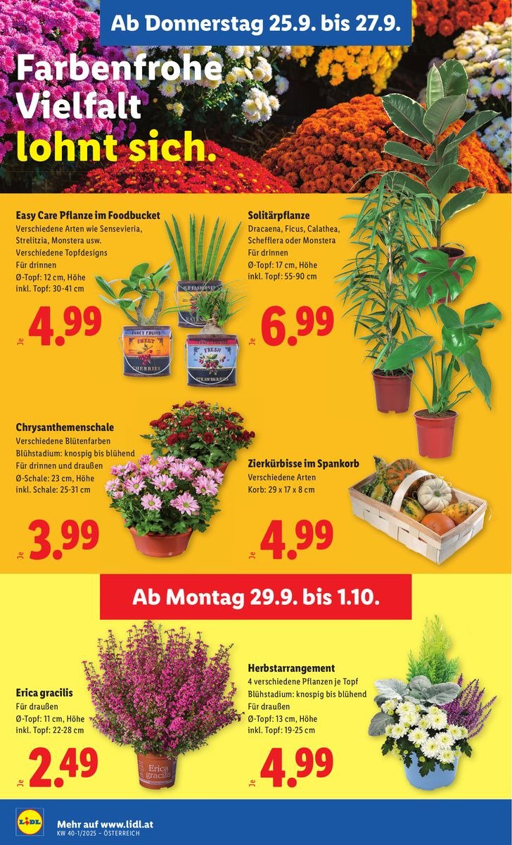 LIDL Flugblatt - Ab Donnerstag, 25.9.2025 (2025-09-25 - 2025-10-01)