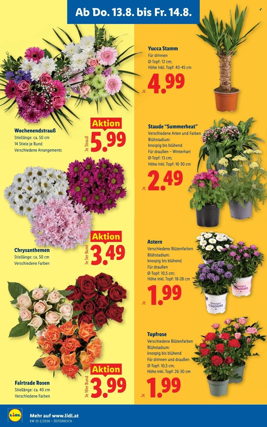 LIDL Flugblatt - Ab Donnerstag, 13.8.2026