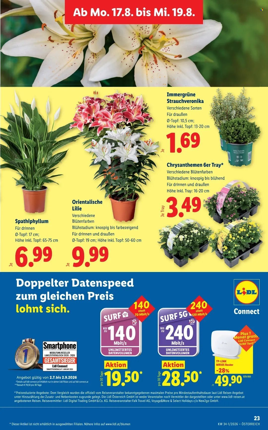 LIDL Flugblatt - Ab Donnerstag, 13.8.2026