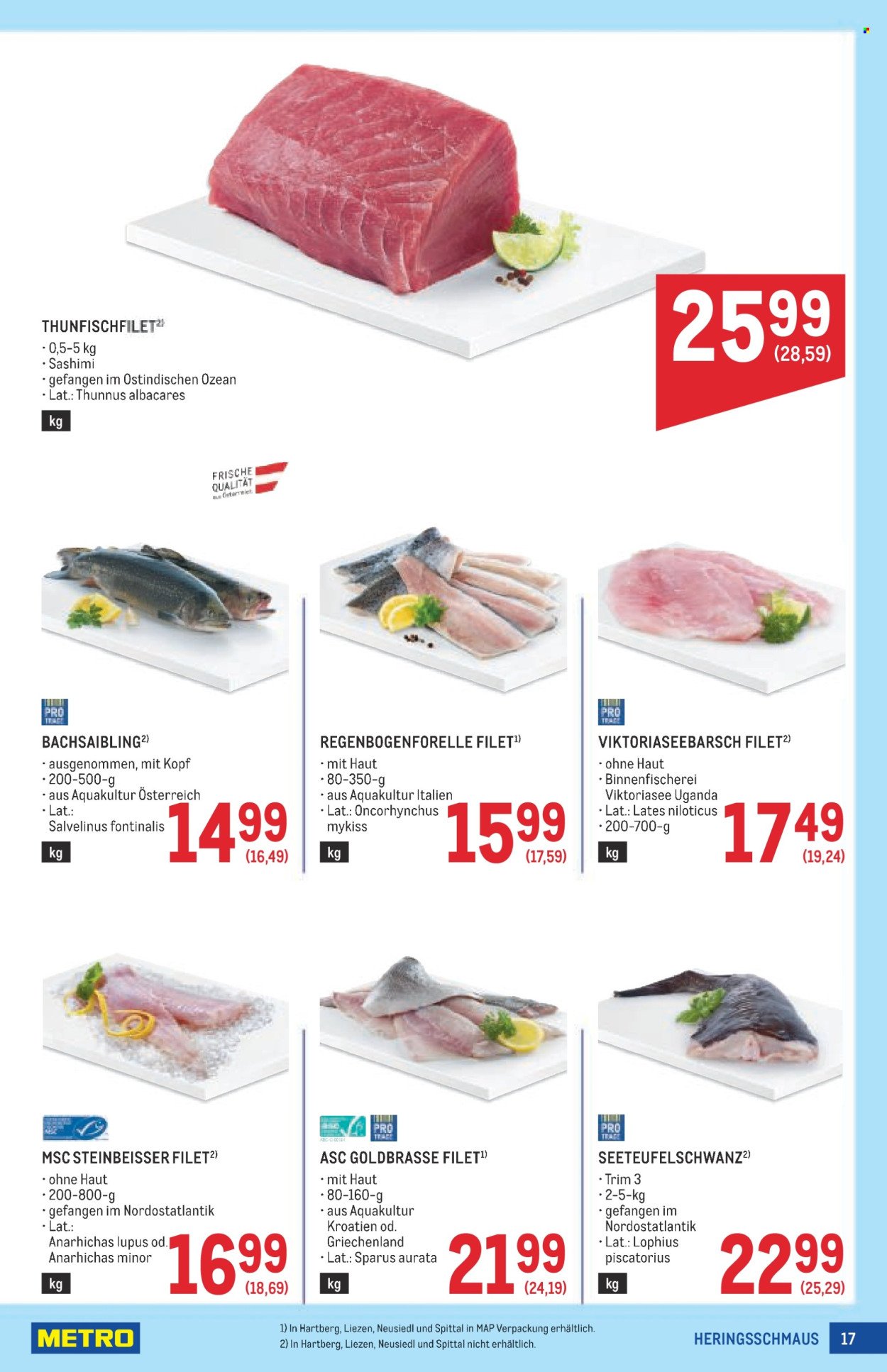 METRO Flugblatt - Profi