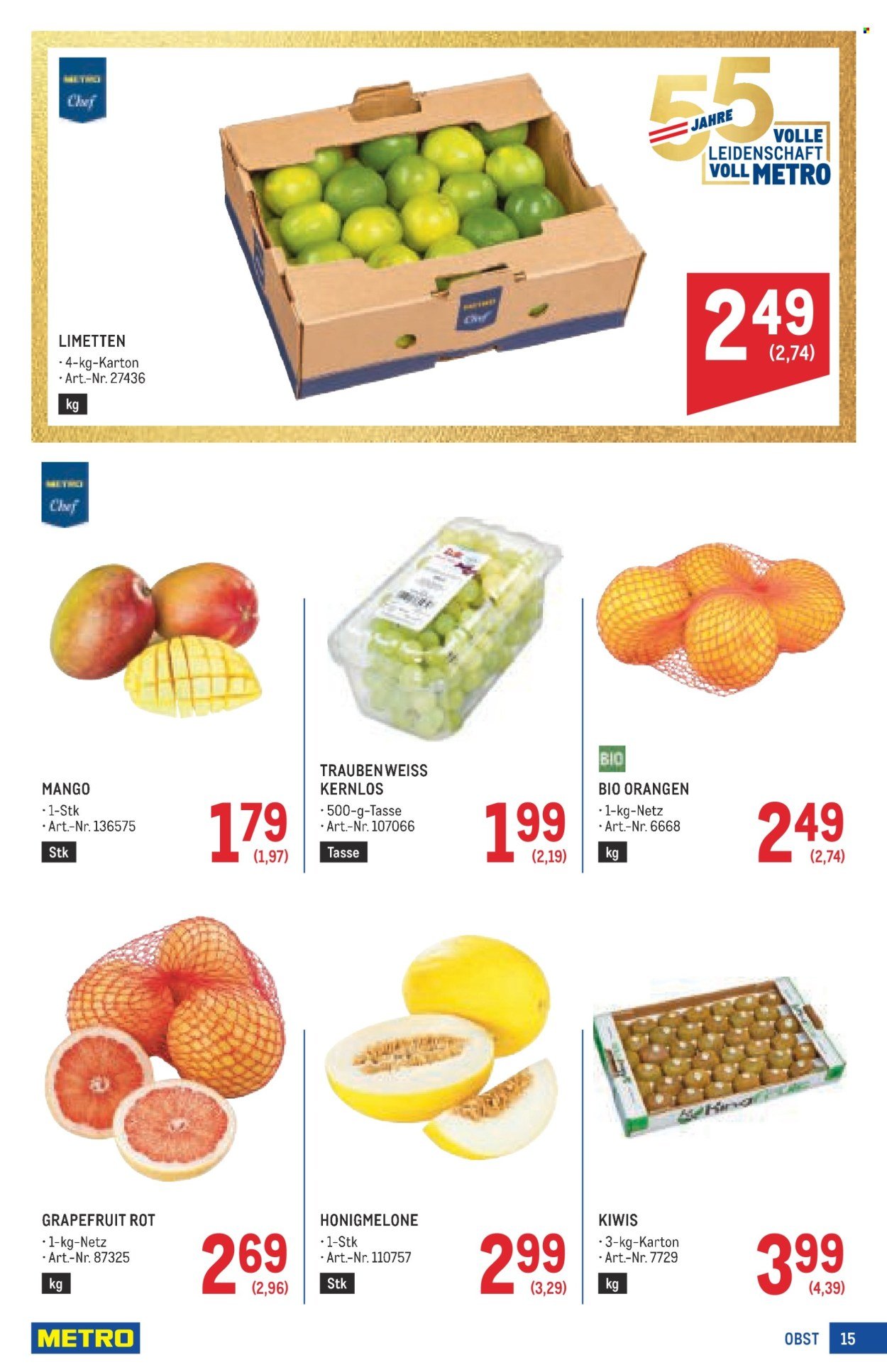 METRO Flugblatt - Profi