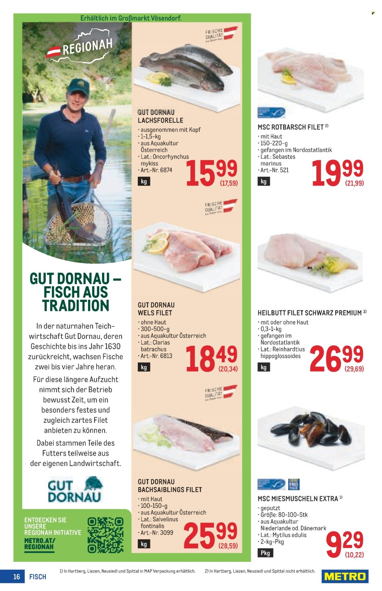 METRO Flugblatt - Profi