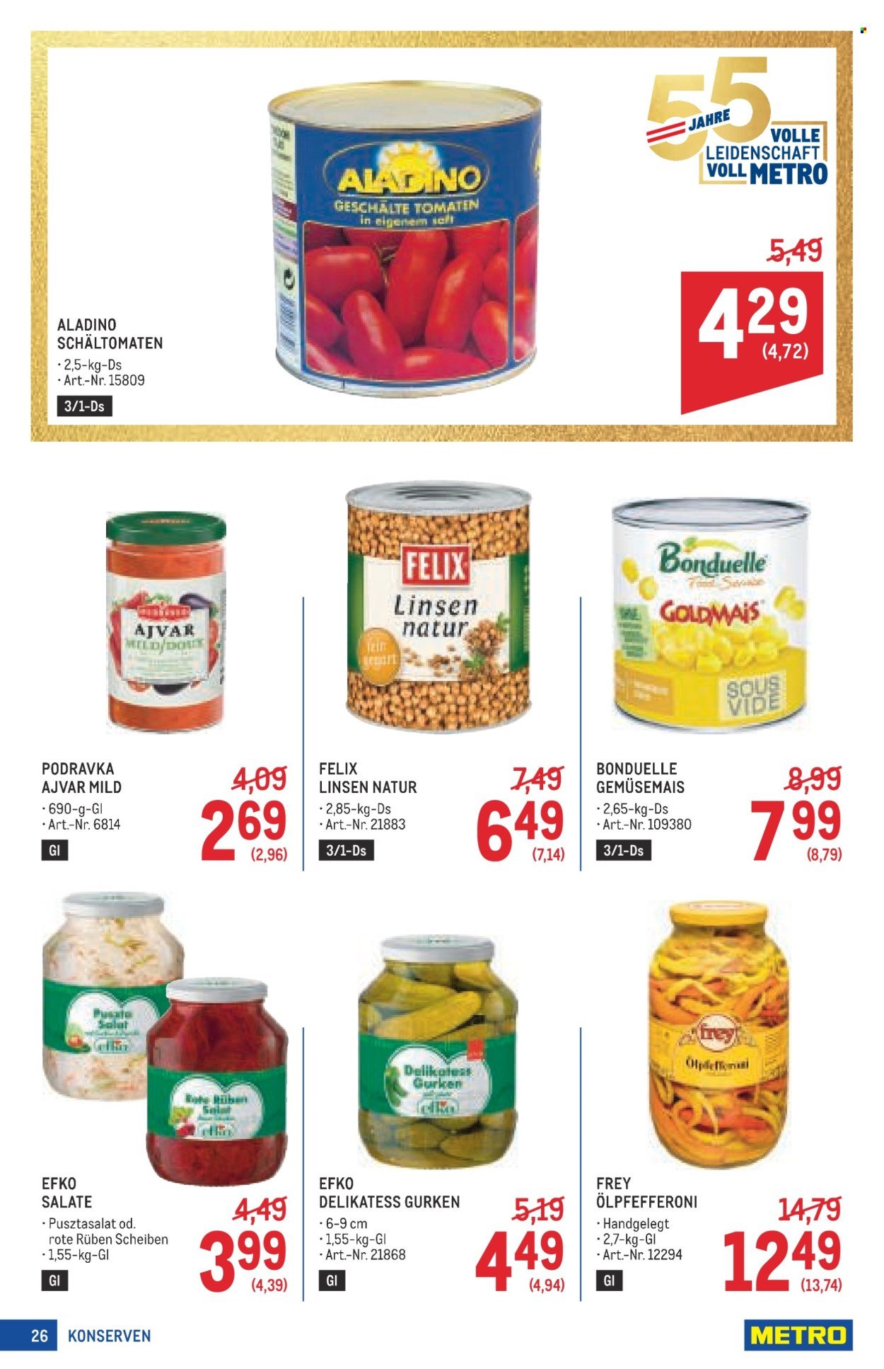 METRO Flugblatt - Profi