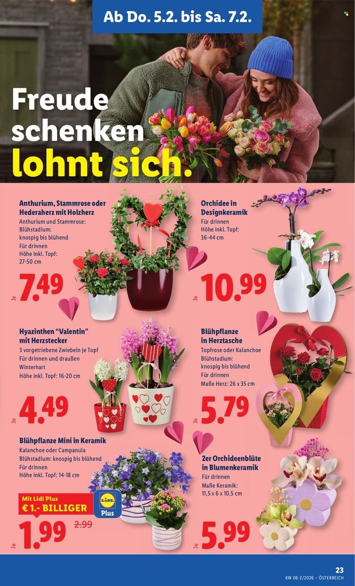 LIDL Flugblatt - Ab Donnerstag, 5.2.2026