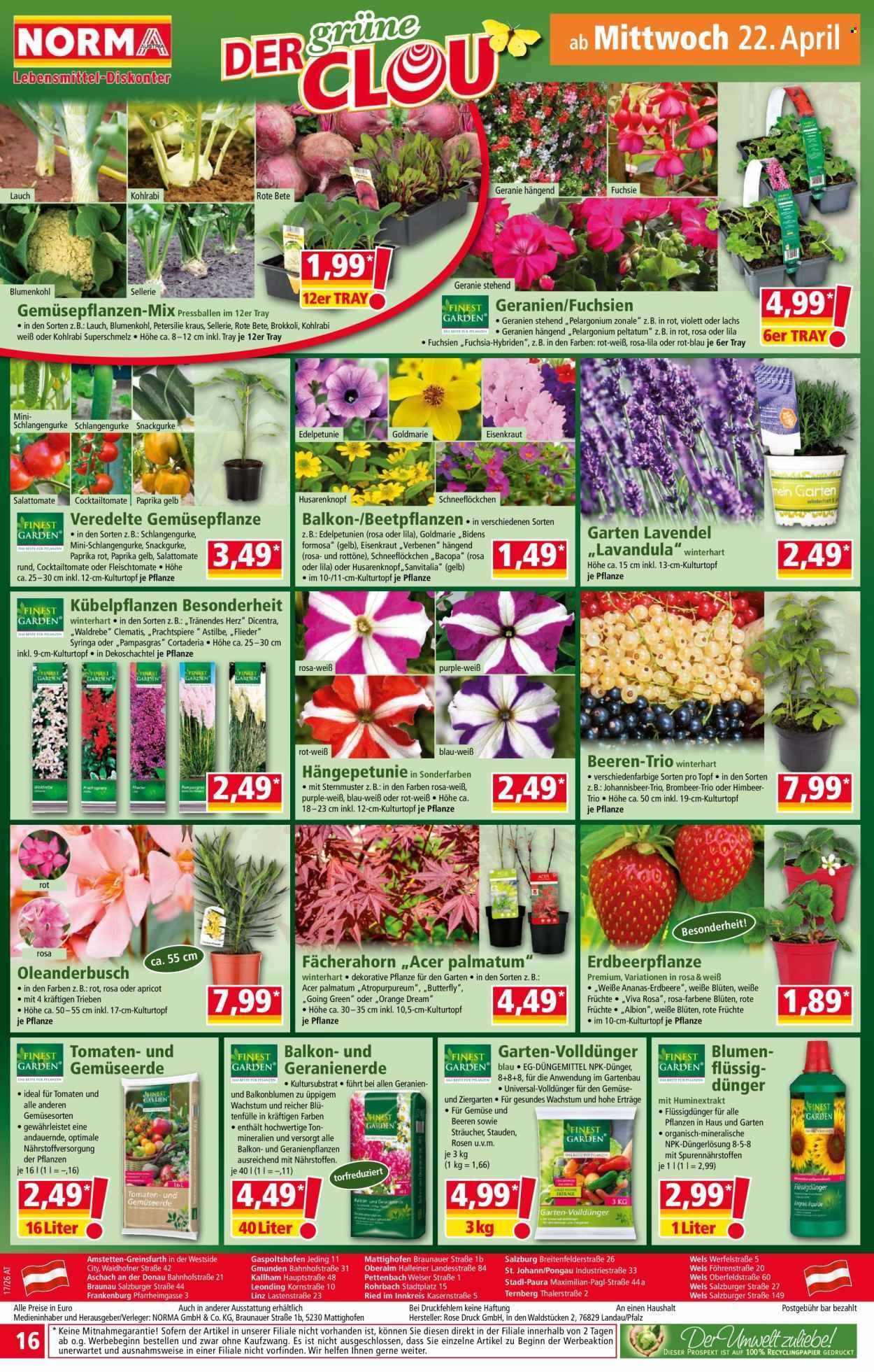 NORMA Flugblatt - Ab Montag, 20.4.2026