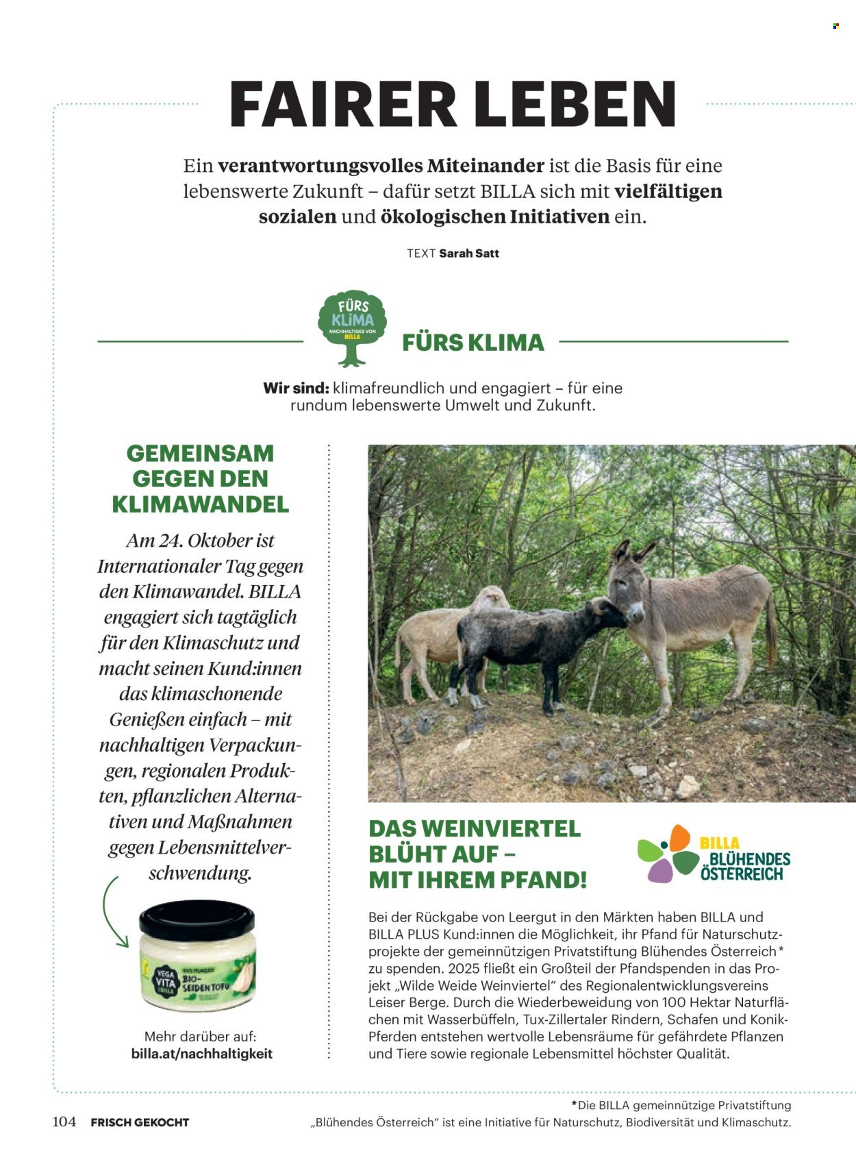 BILLA Flugblatt - Oktober 2025 (2025-09-30)