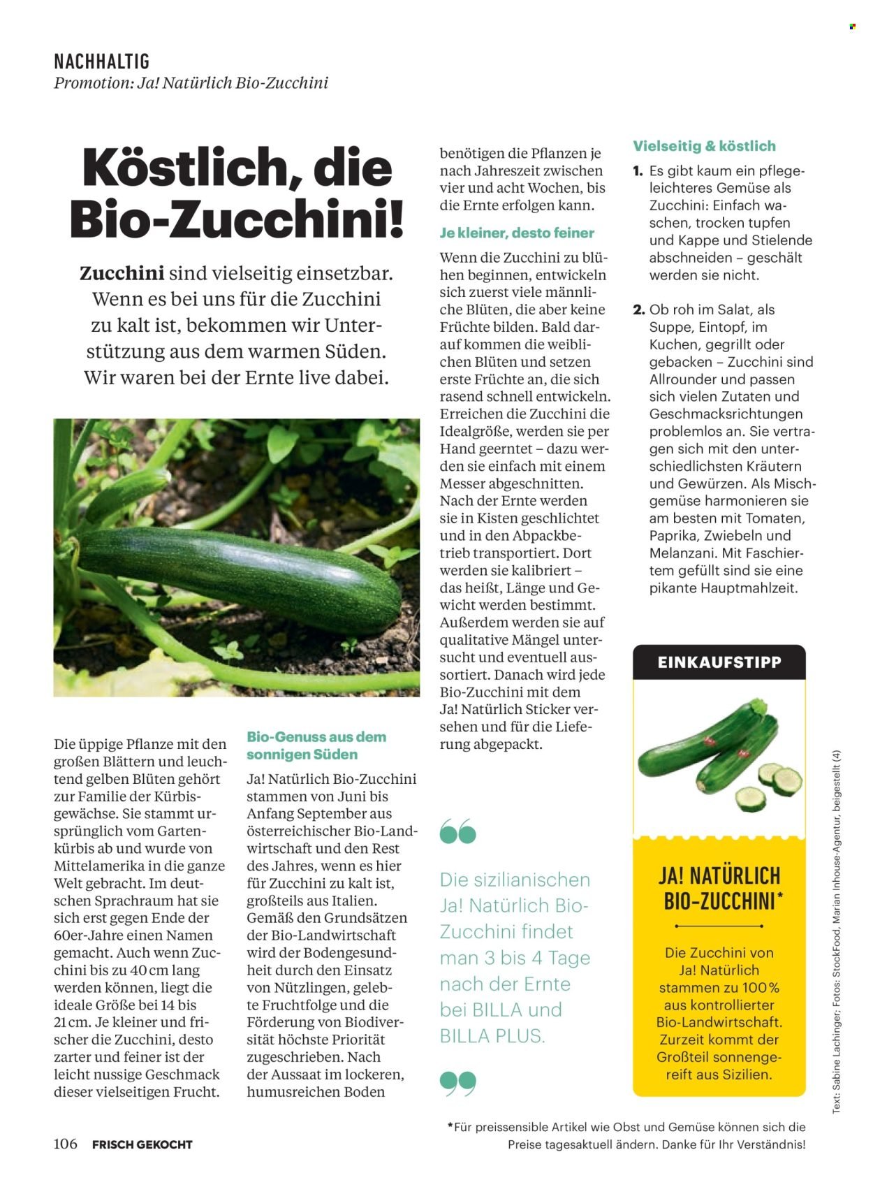BILLA Flugblatt - Oktober 2025 (2025-09-30)