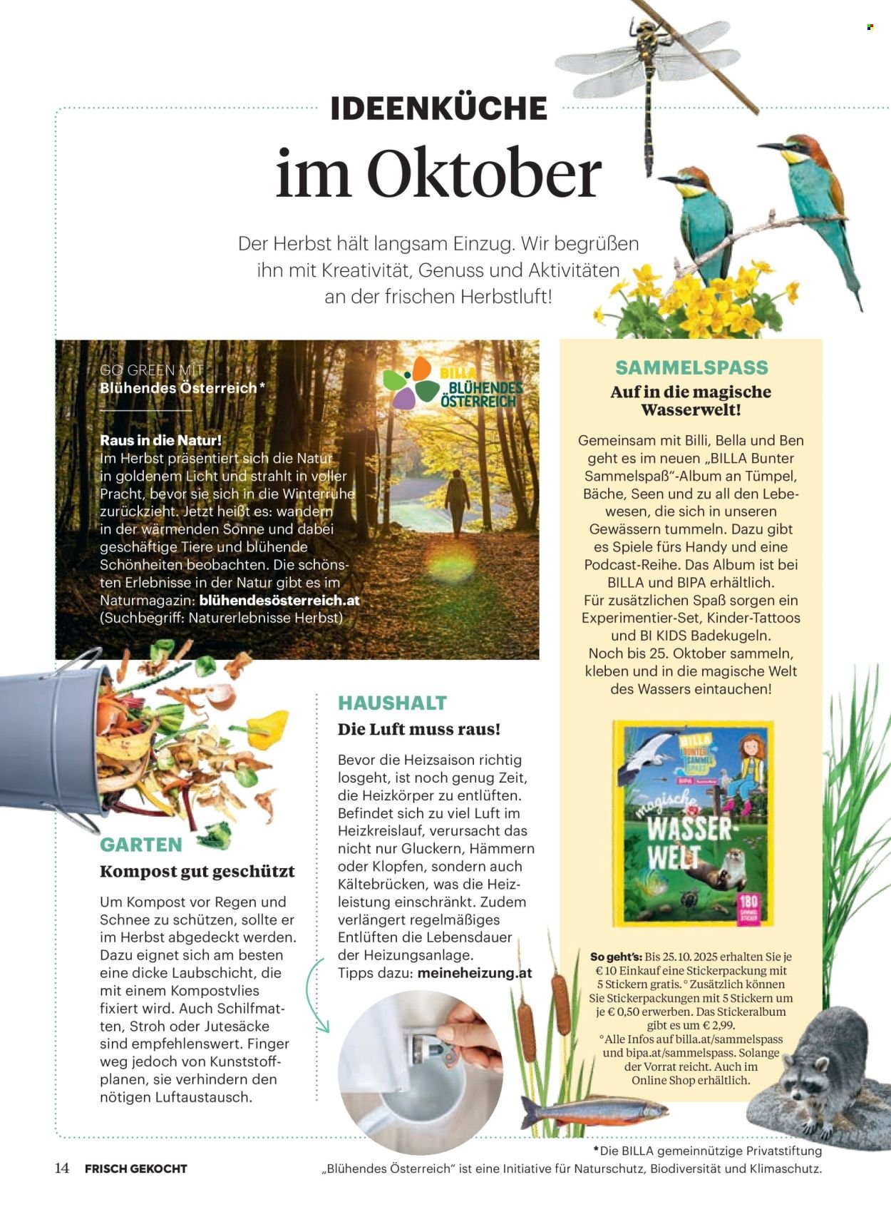 BILLA Flugblatt - Oktober 2025 (2025-09-30)