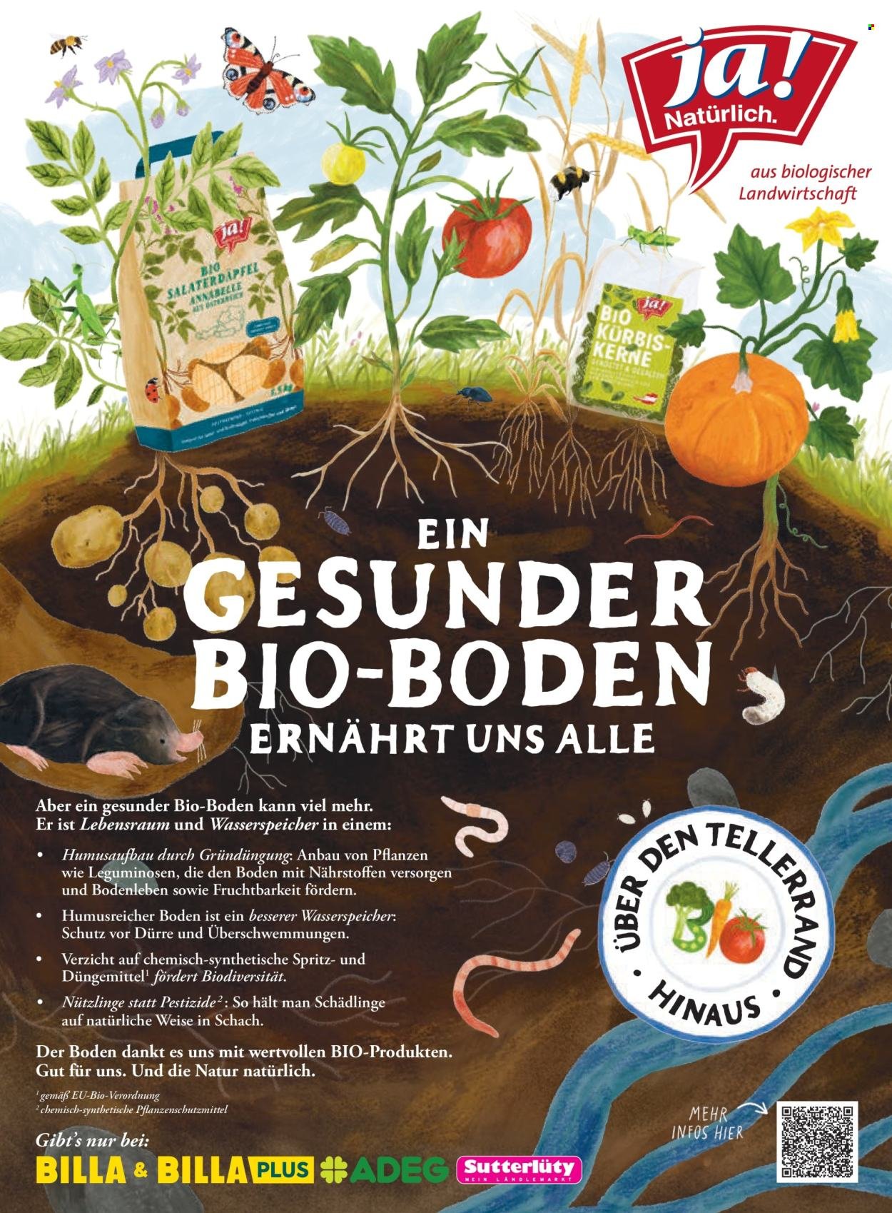 BILLA Flugblatt - Oktober 2025 (2025-09-30)