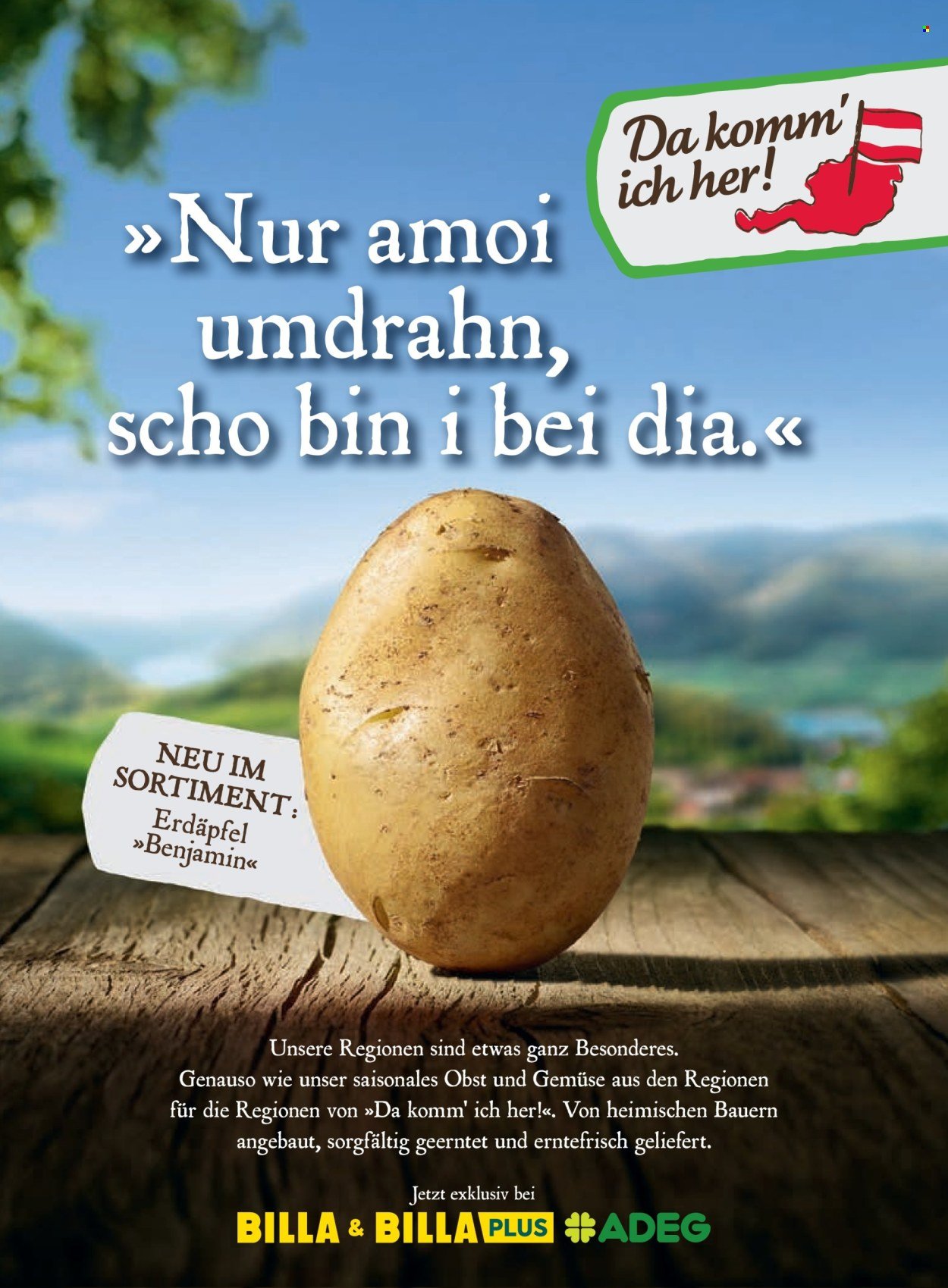 BILLA Flugblatt - Oktober 2025 (2025-09-30)